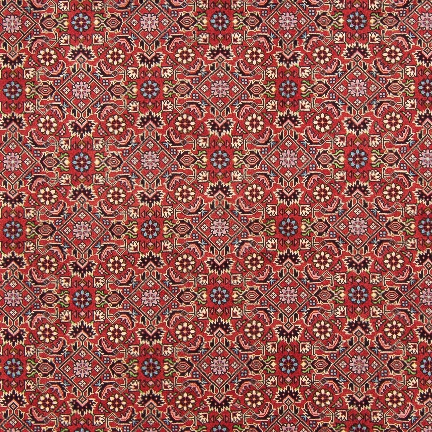 Alfombra persa - Bidjar - 290 x 198 cm - rojo