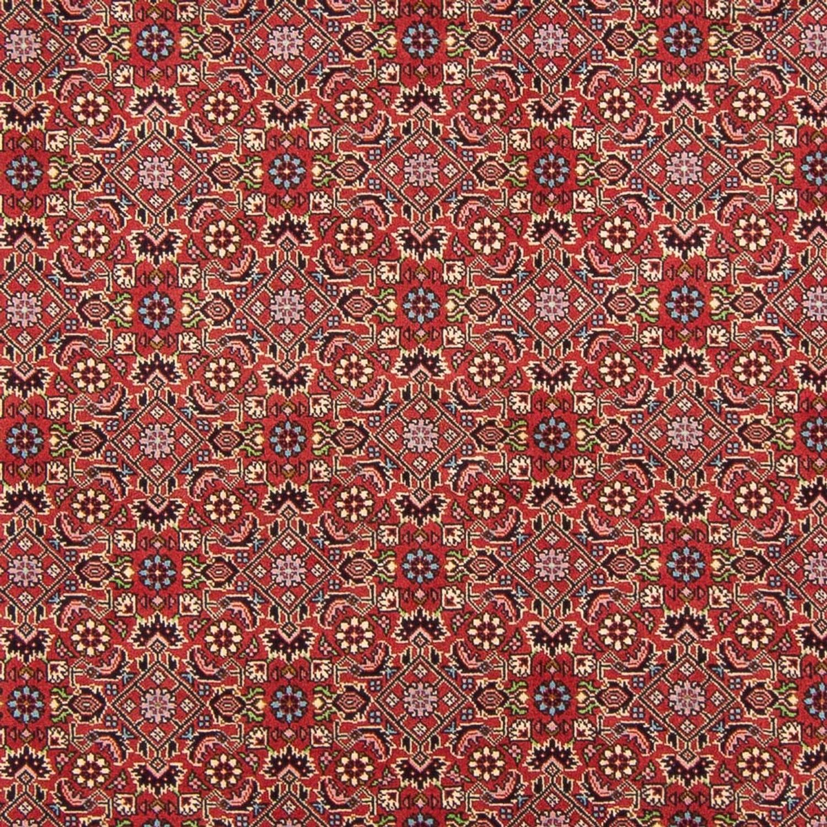 Alfombra persa - Bidjar - 290 x 198 cm - rojo
