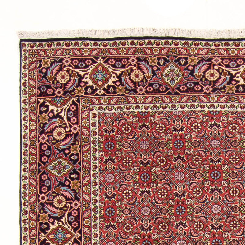 Alfombra persa - Bidjar - 290 x 198 cm - rojo