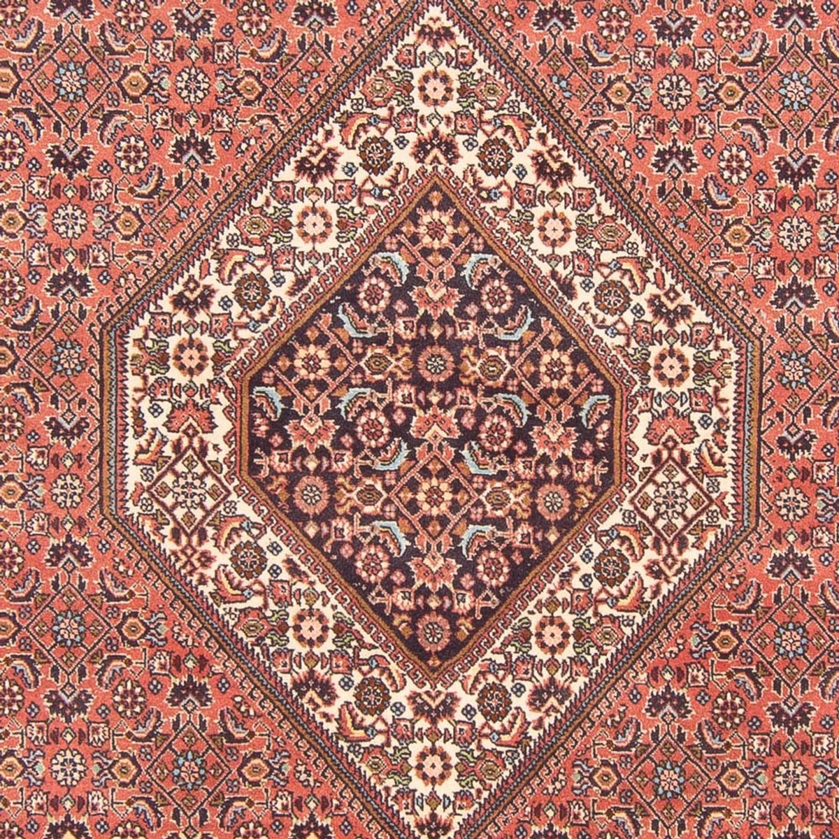 Alfombra persa - Bidjar - 290 x 200 cm - rojo