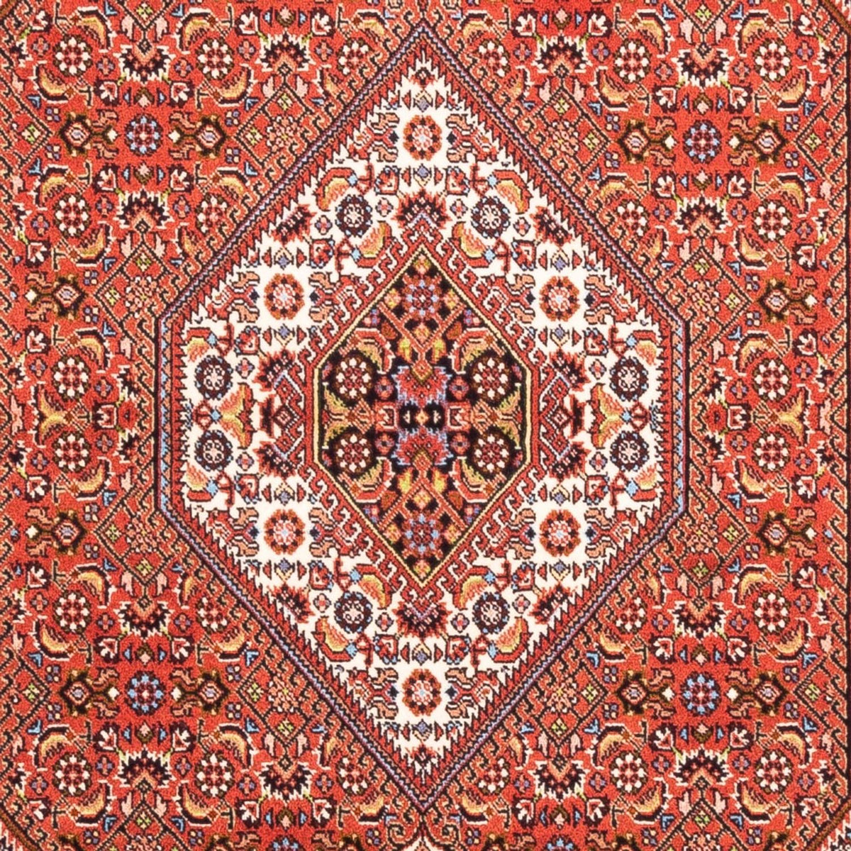 Alfombra persa - Bidjar - 182 x 110 cm - rojo