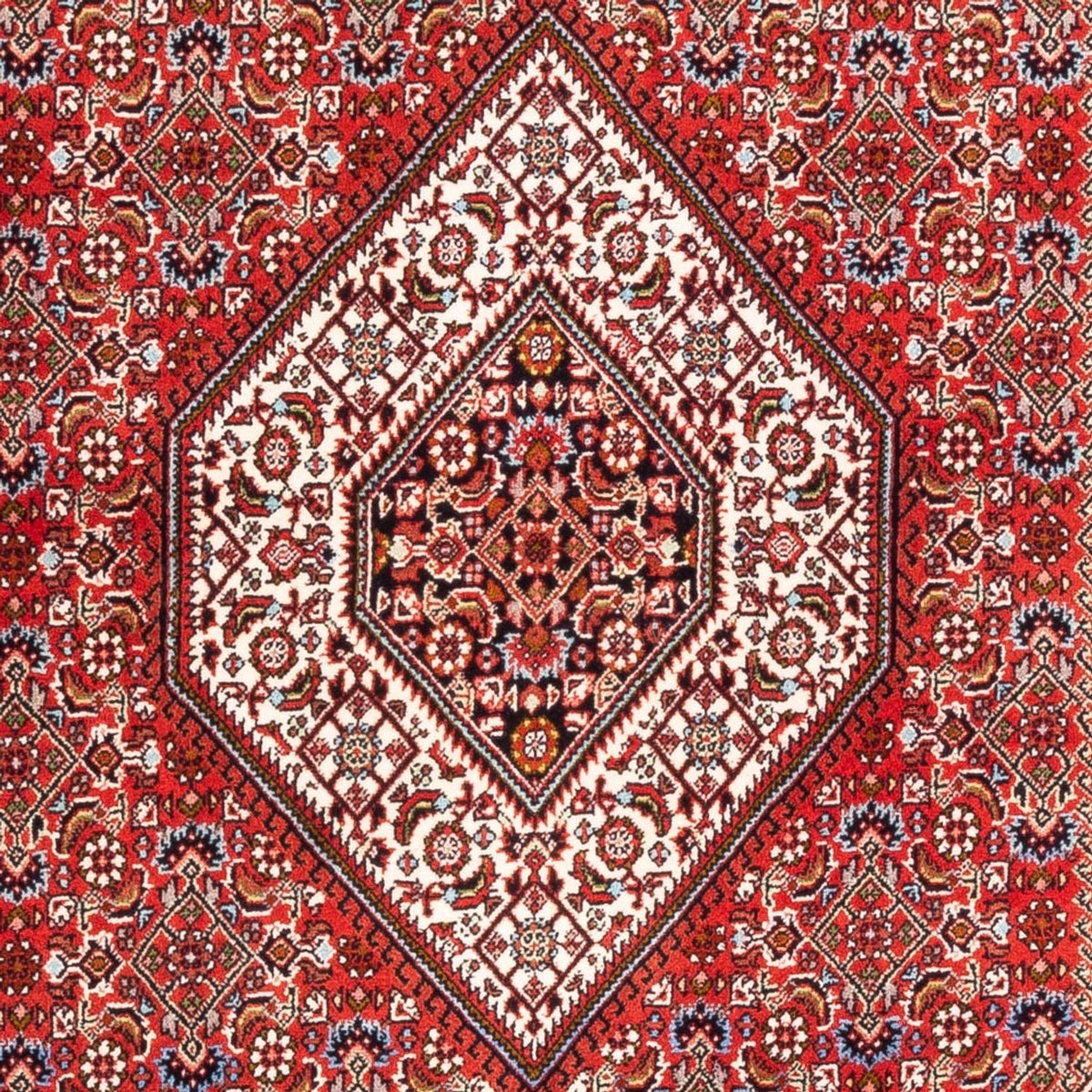 Alfombra persa - Bidjar - 176 x 110 cm - rojo