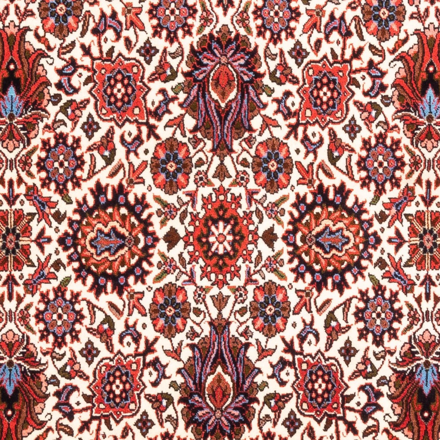 Alfombra persa - Bidjar - 177 x 110 cm - crema