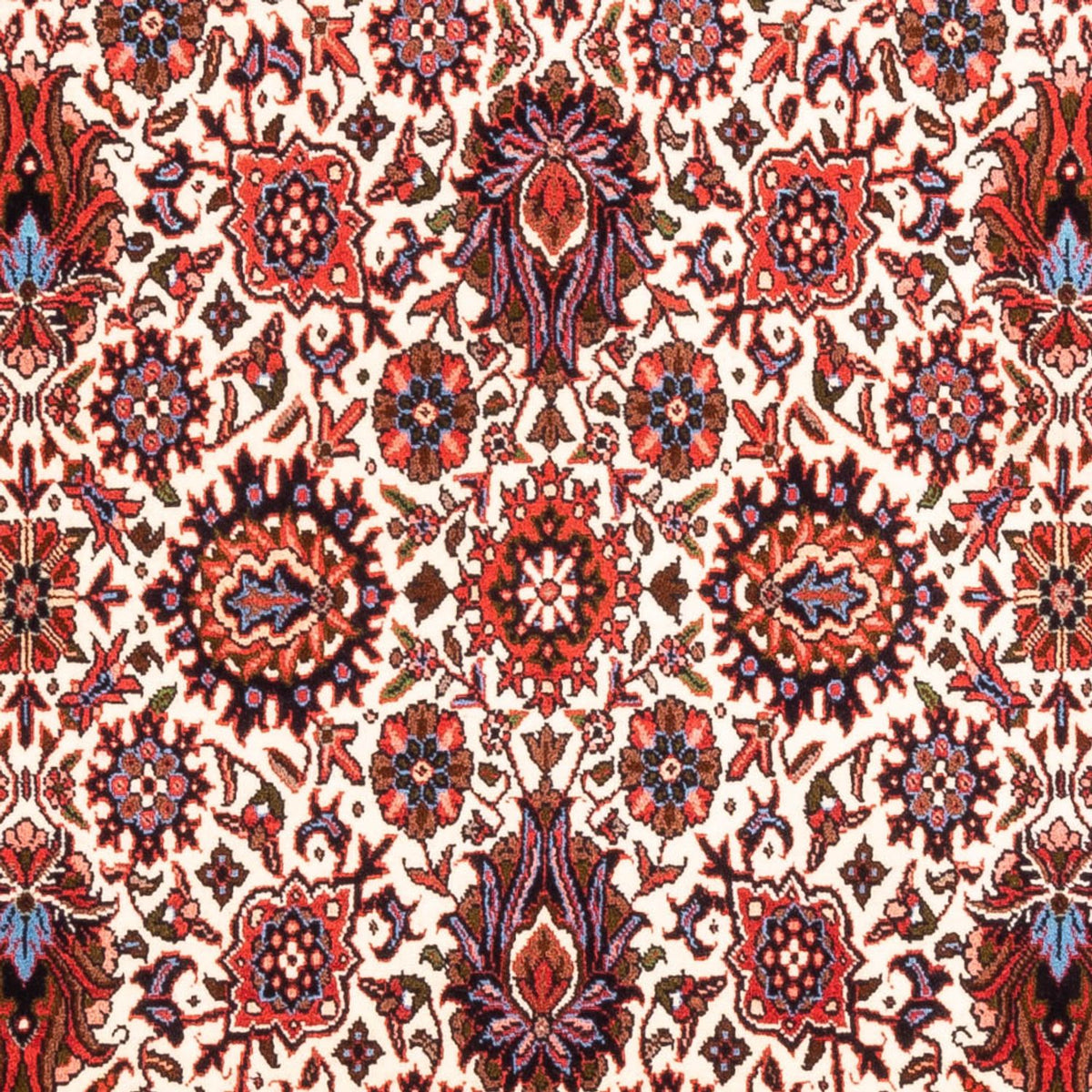 Alfombra persa - Bidjar - 177 x 110 cm - crema