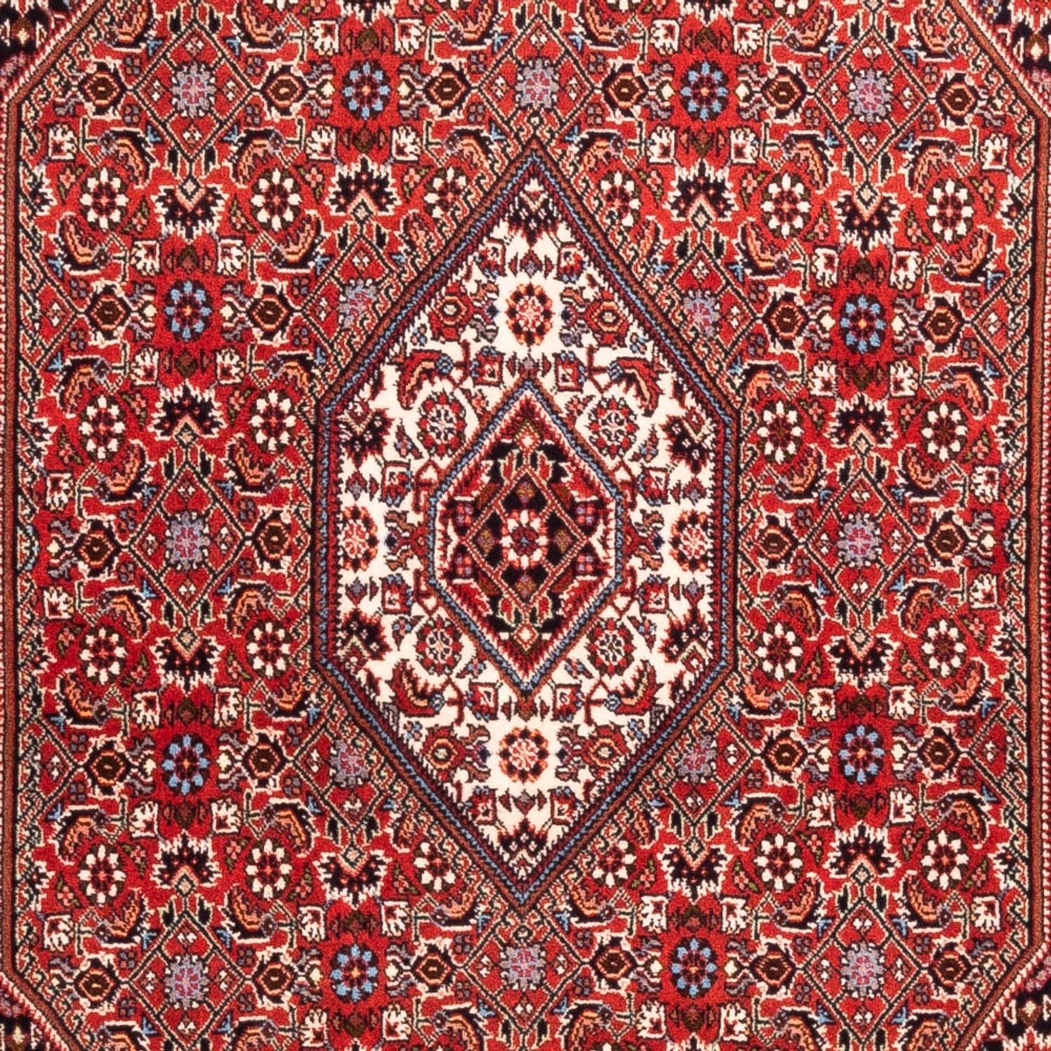 Alfombra persa - Bidjar - 184 x 108 cm - rojo