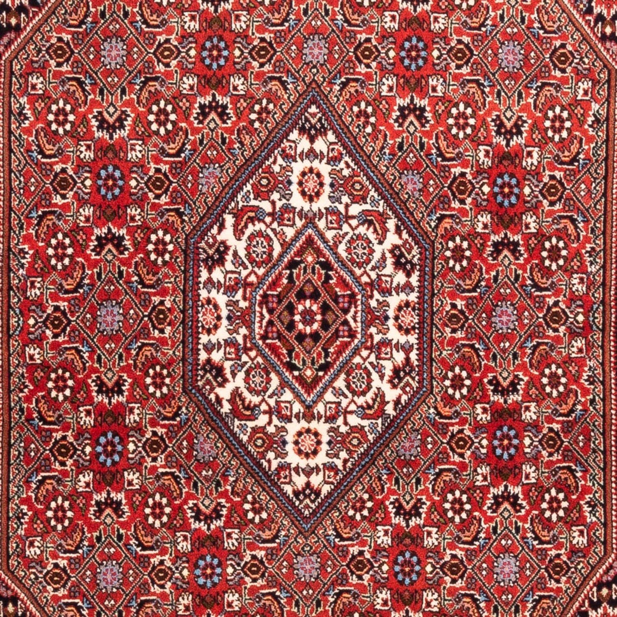 Alfombra persa - Bidjar - 184 x 108 cm - rojo