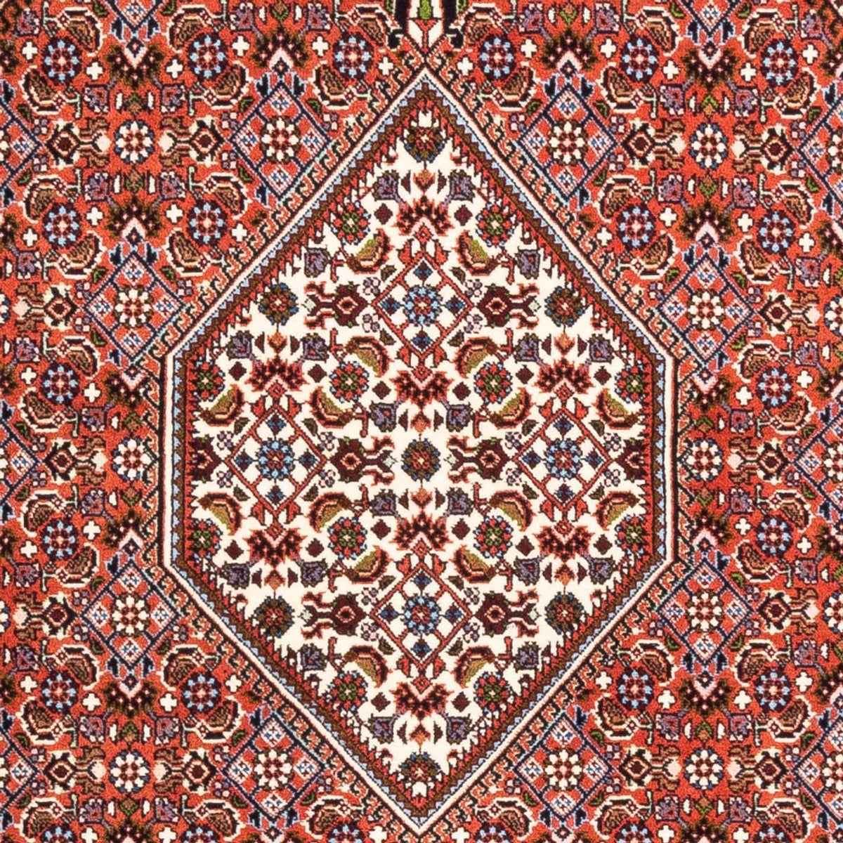 Alfombra persa - Bidjar - 180 x 112 cm - rojo