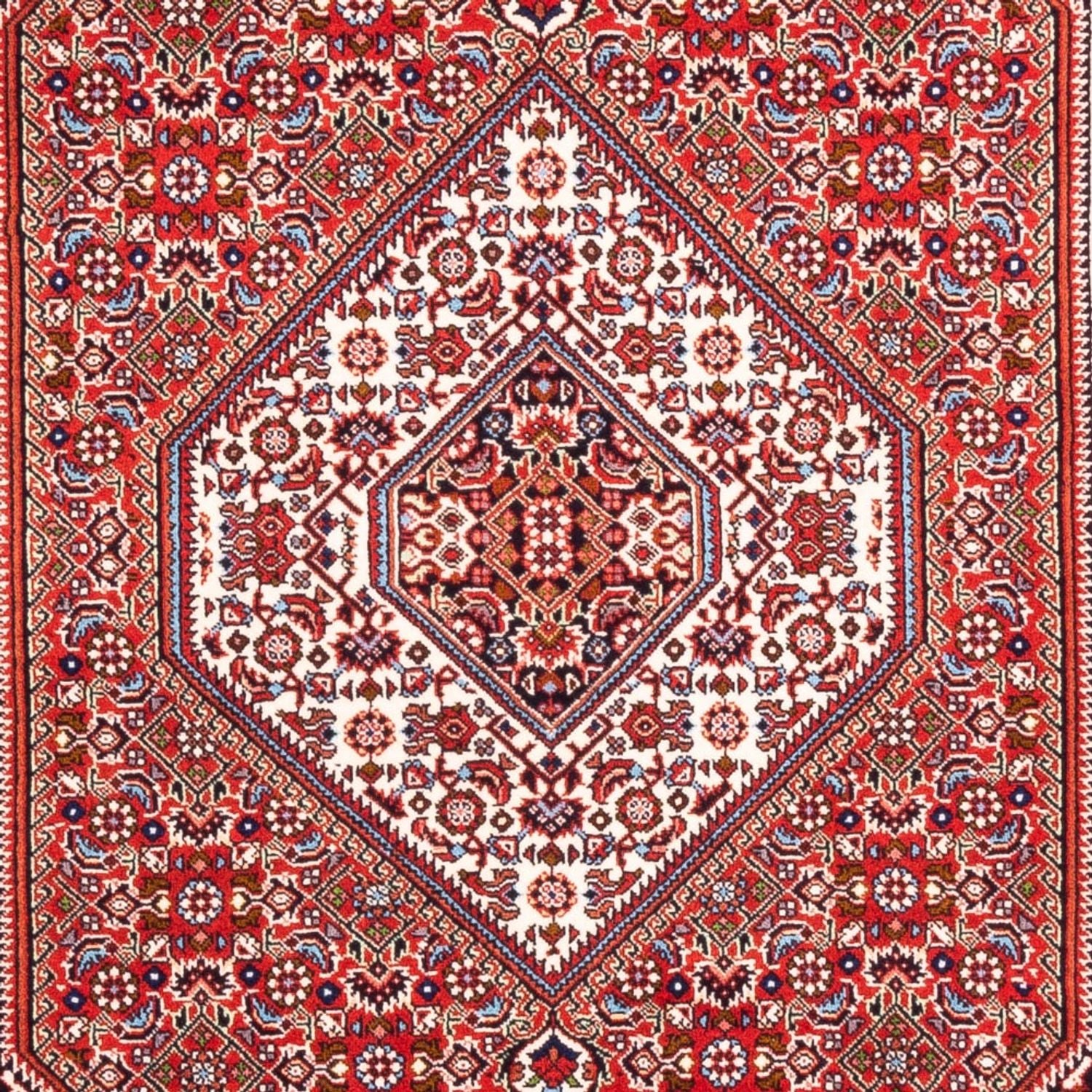 Alfombra persa - Bidjar - 168 x 109 cm - rojo