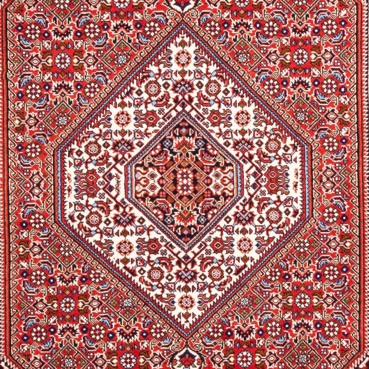 Alfombra persa - Bidjar - 168 x 109 cm - rojo