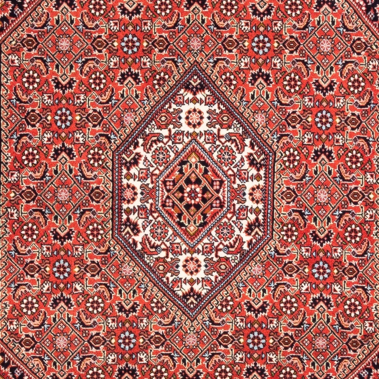 Alfombra persa - Bidjar - 166 x 110 cm - rojo