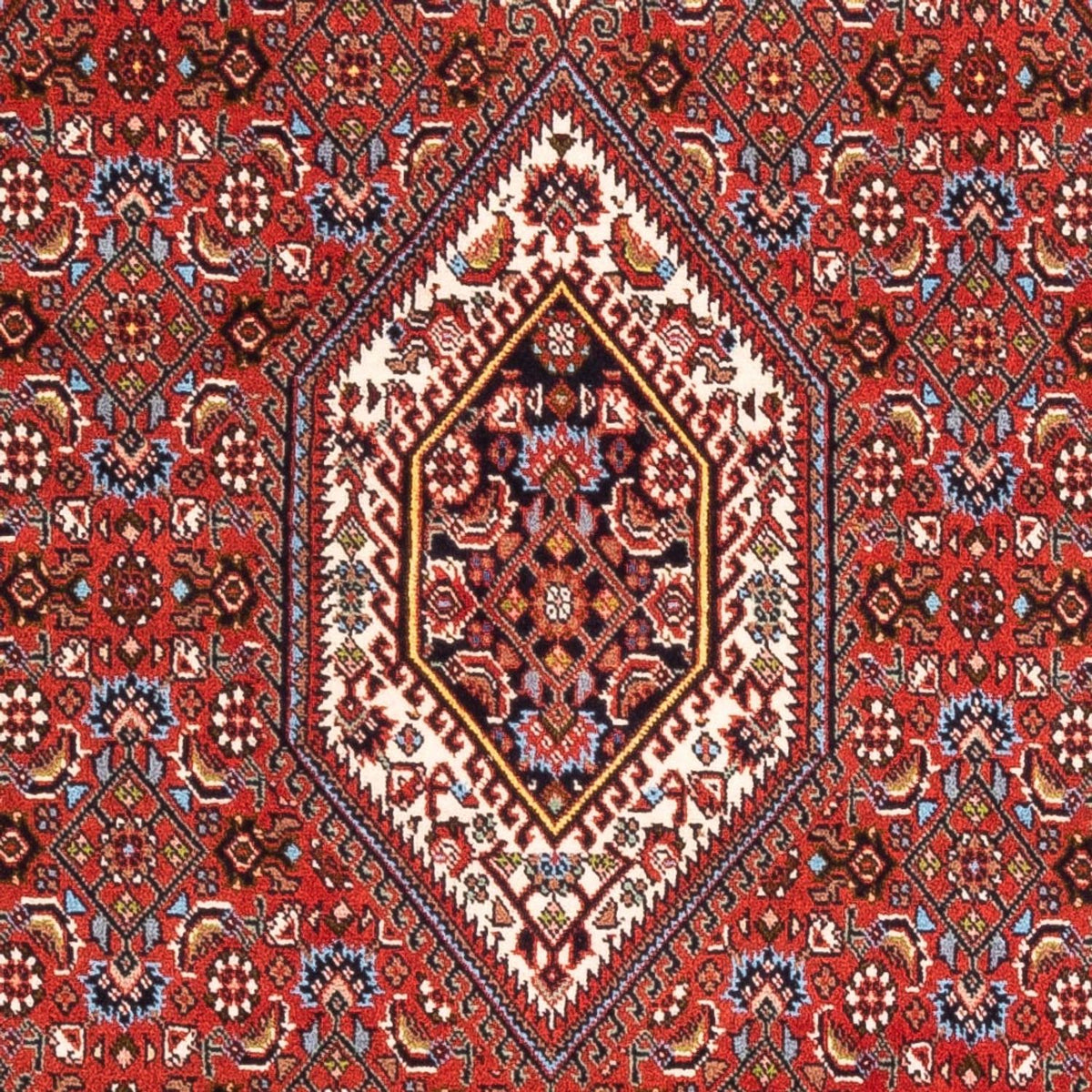 Alfombra persa - Bidjar - 174 x 107 cm - rojo