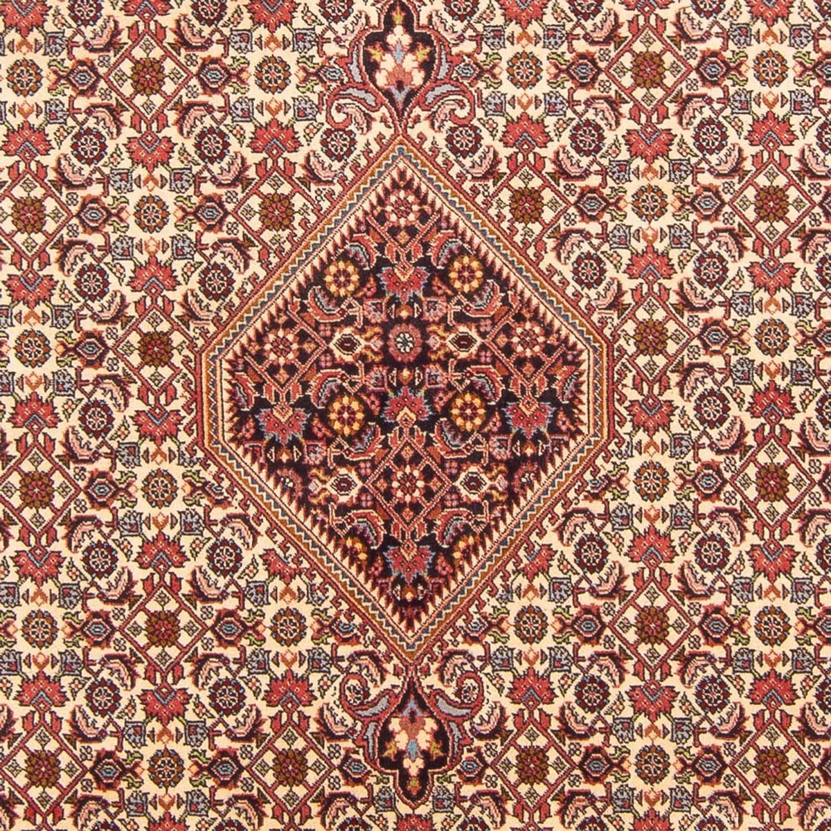 Alfombra persa - Bidjar - 298 x 200 cm - rojo