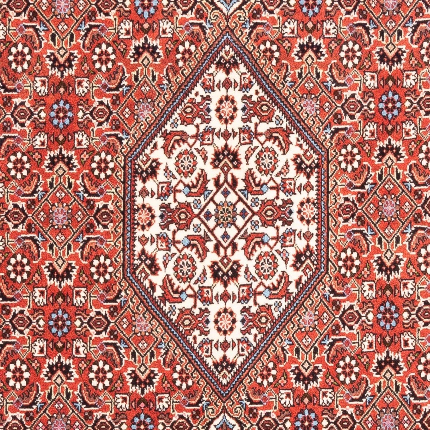 Alfombra persa - Bidjar - 187 x 107 cm - rojo
