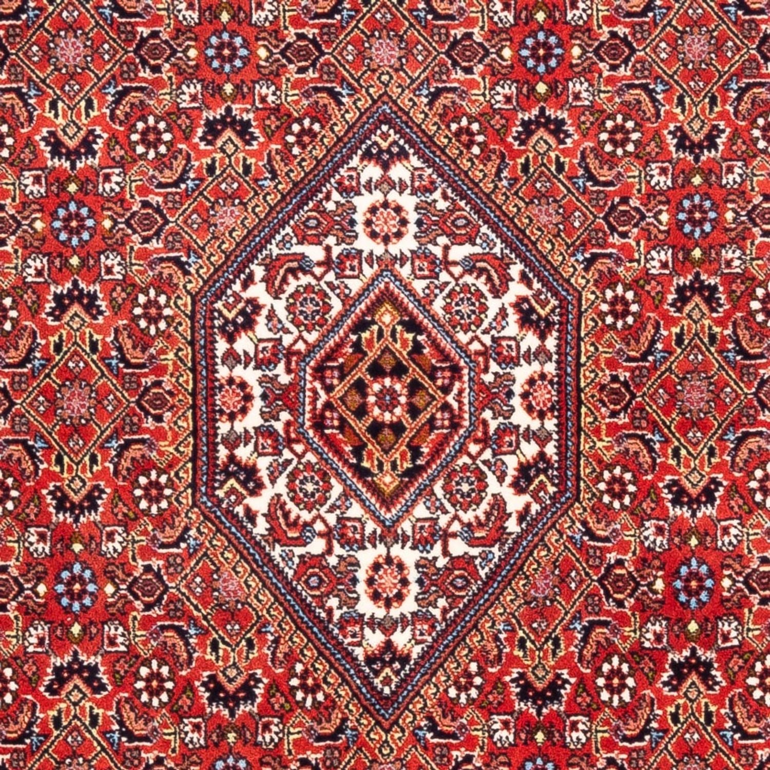 Alfombra persa - Bidjar - 174 x 108 cm - rojo