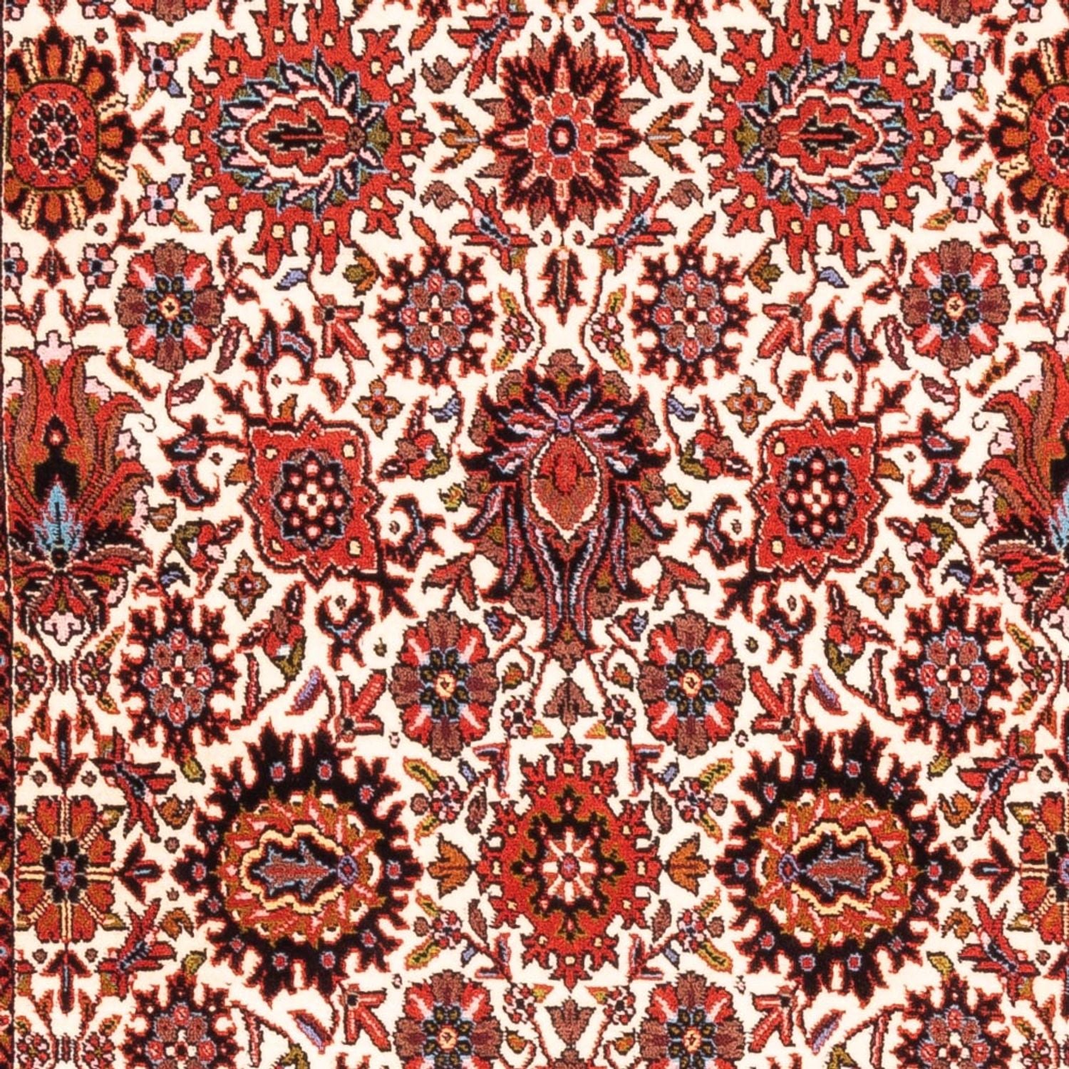 Alfombra de pasillo Alfombra persa - Bidjar - 183 x 104 cm - crema