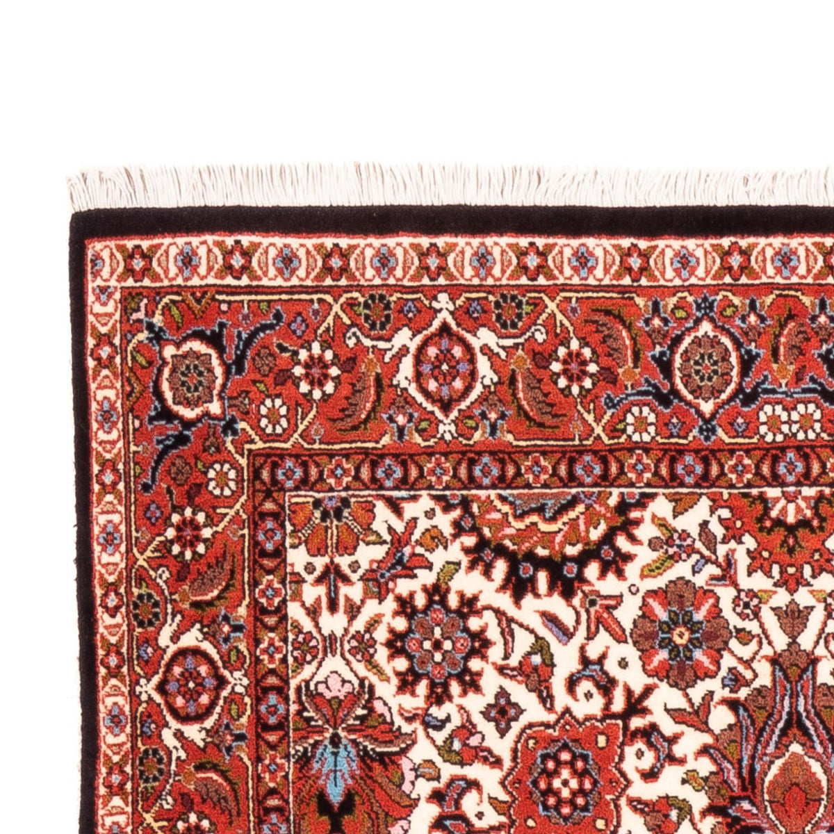 Alfombra de pasillo Alfombra persa - Bidjar - 183 x 104 cm - crema