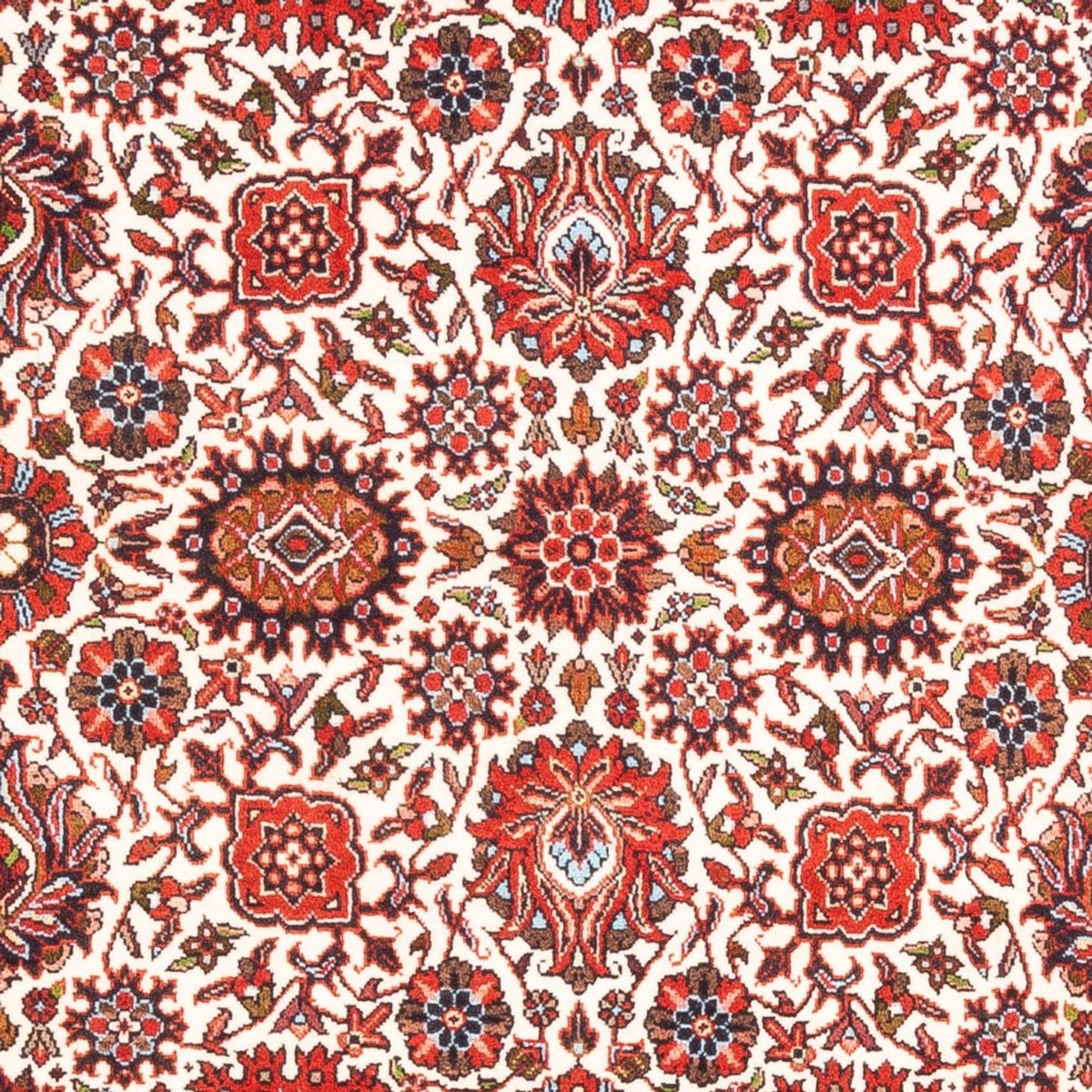 Alfombra persa - Bidjar - 177 x 110 cm - crema