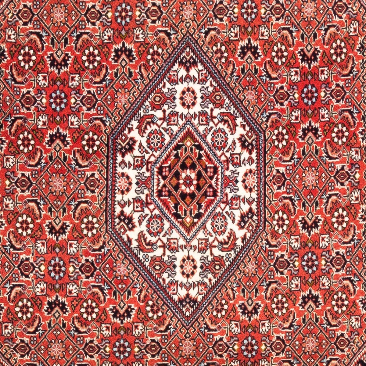 Alfombra persa - Bidjar - 188 x 112 cm - rojo