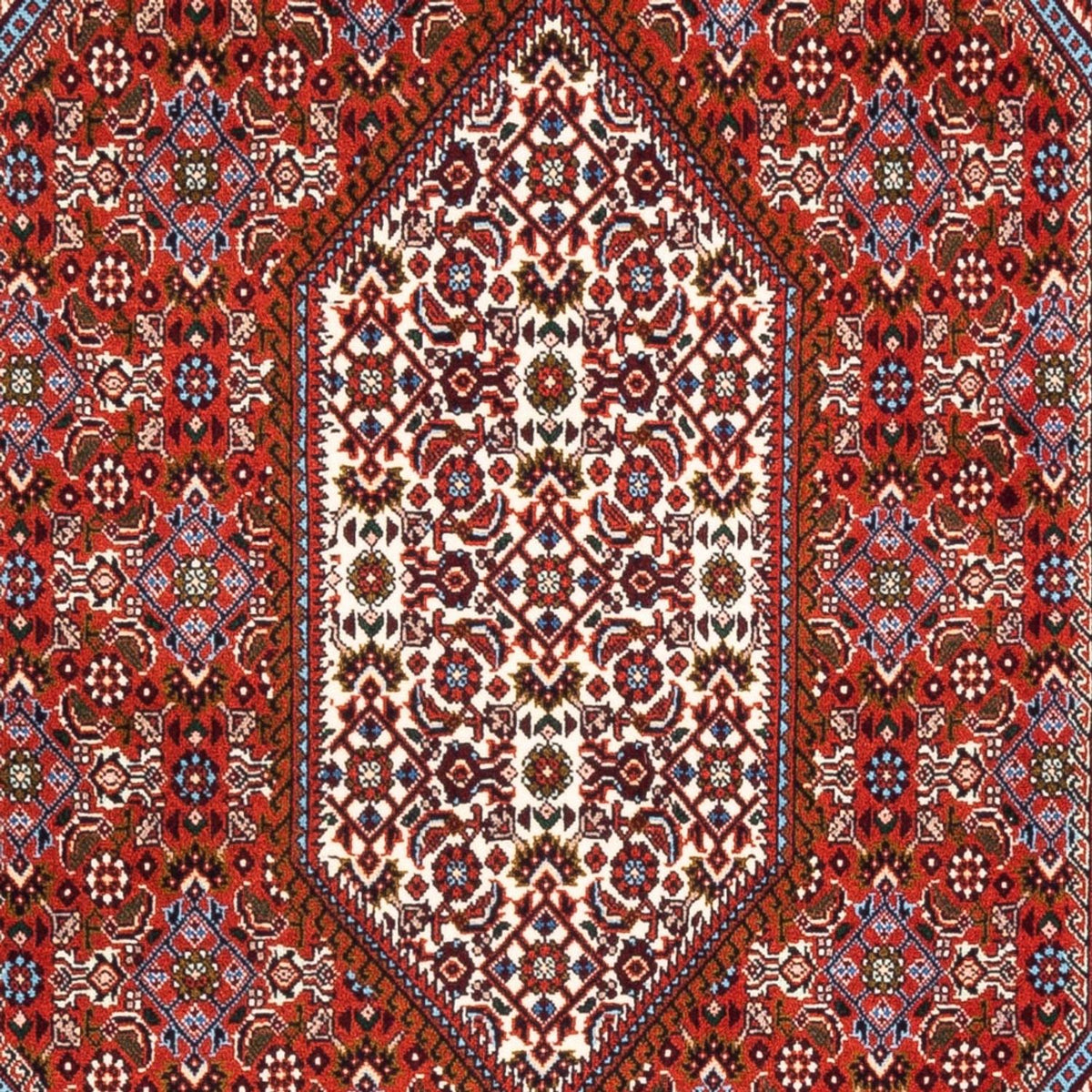 Alfombra persa - Bidjar - 182 x 110 cm - rojo