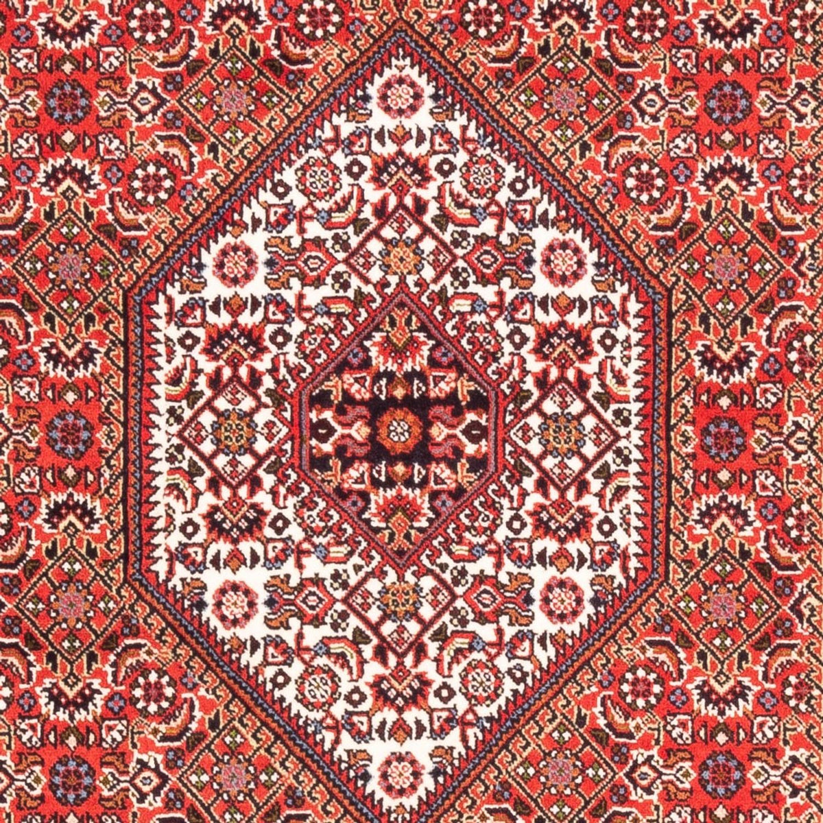 Alfombra persa - Bidjar - 183 x 110 cm - rojo