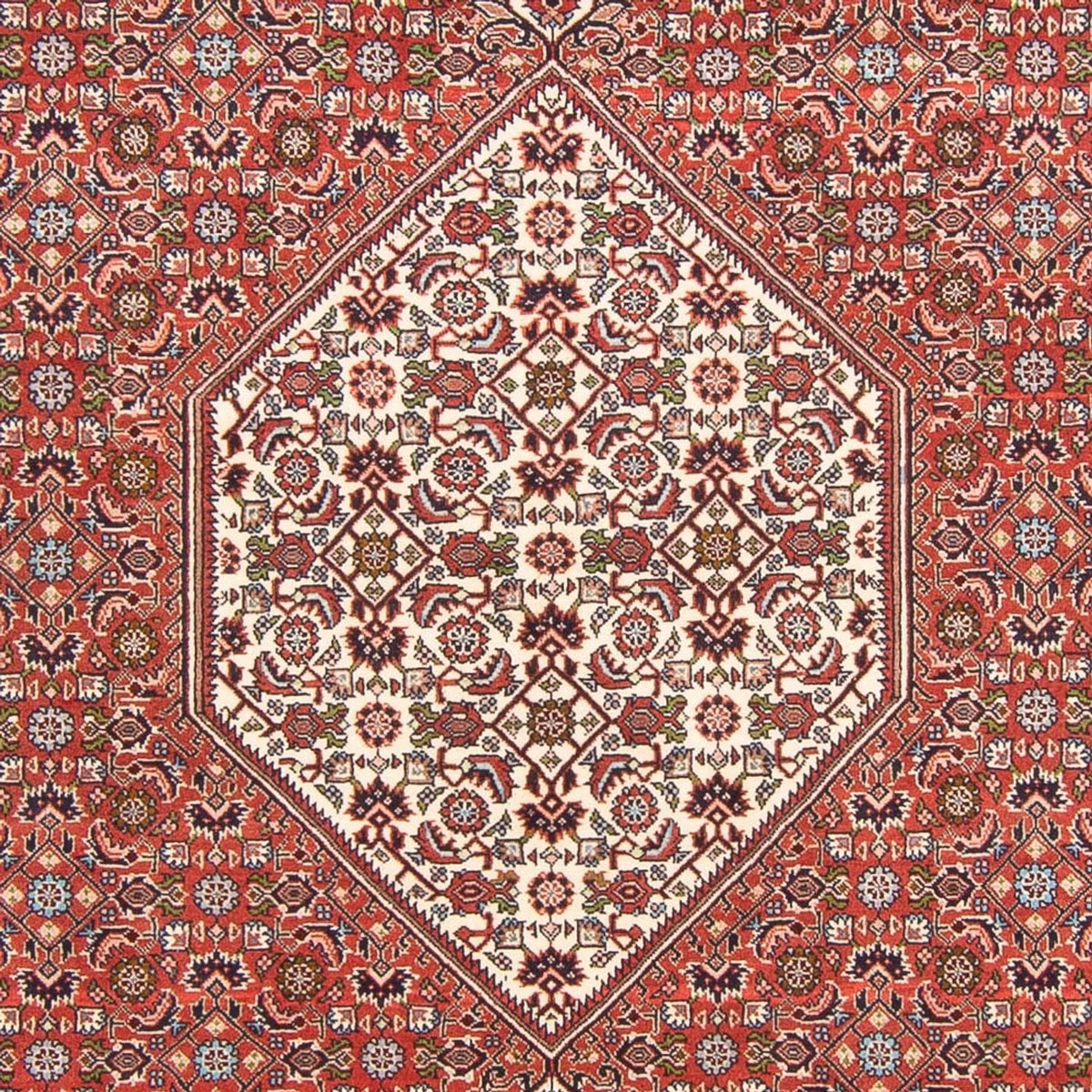 Alfombra persa - Bidjar - 291 x 194 cm - rojo