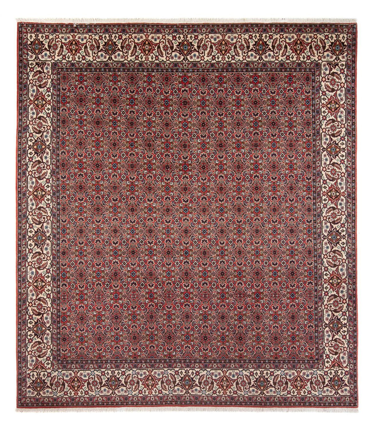 Alfombra persa - Bidjar - 296 x 248 cm - rojo oscuro
