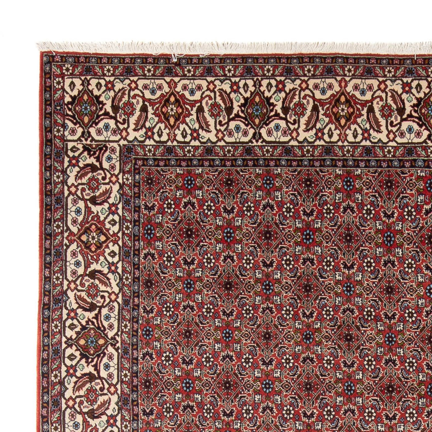 Bidjar - Bukan Alfombra 296x248cm - Alfombra persa
