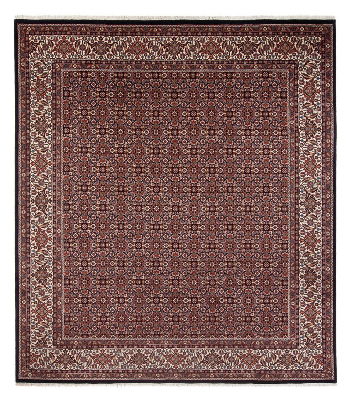 Alfombra persa - Bidjar - 300 x 248 cm - azul oscuro