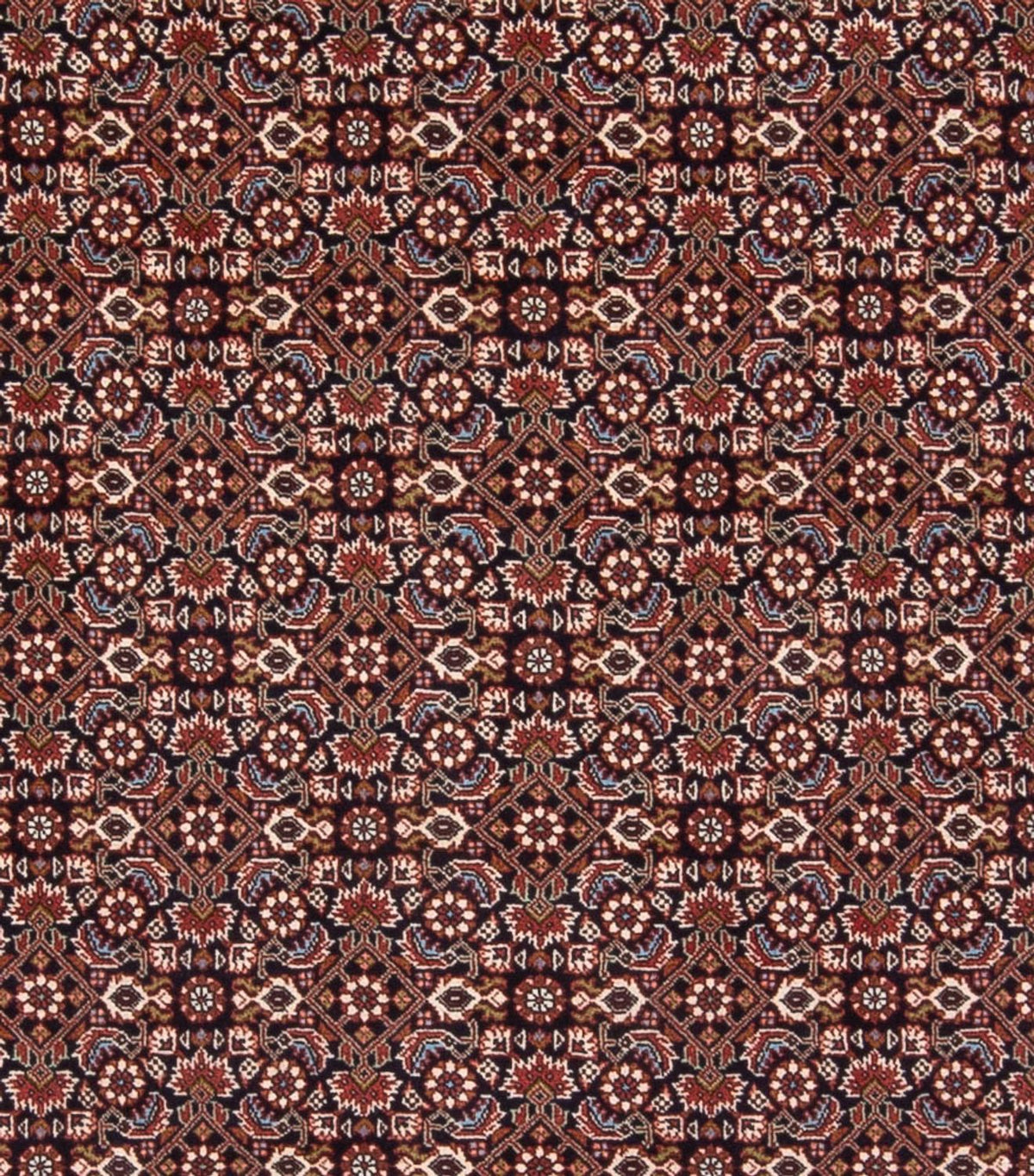 Alfombra persa - Bidjar - 300 x 248 cm - azul oscuro