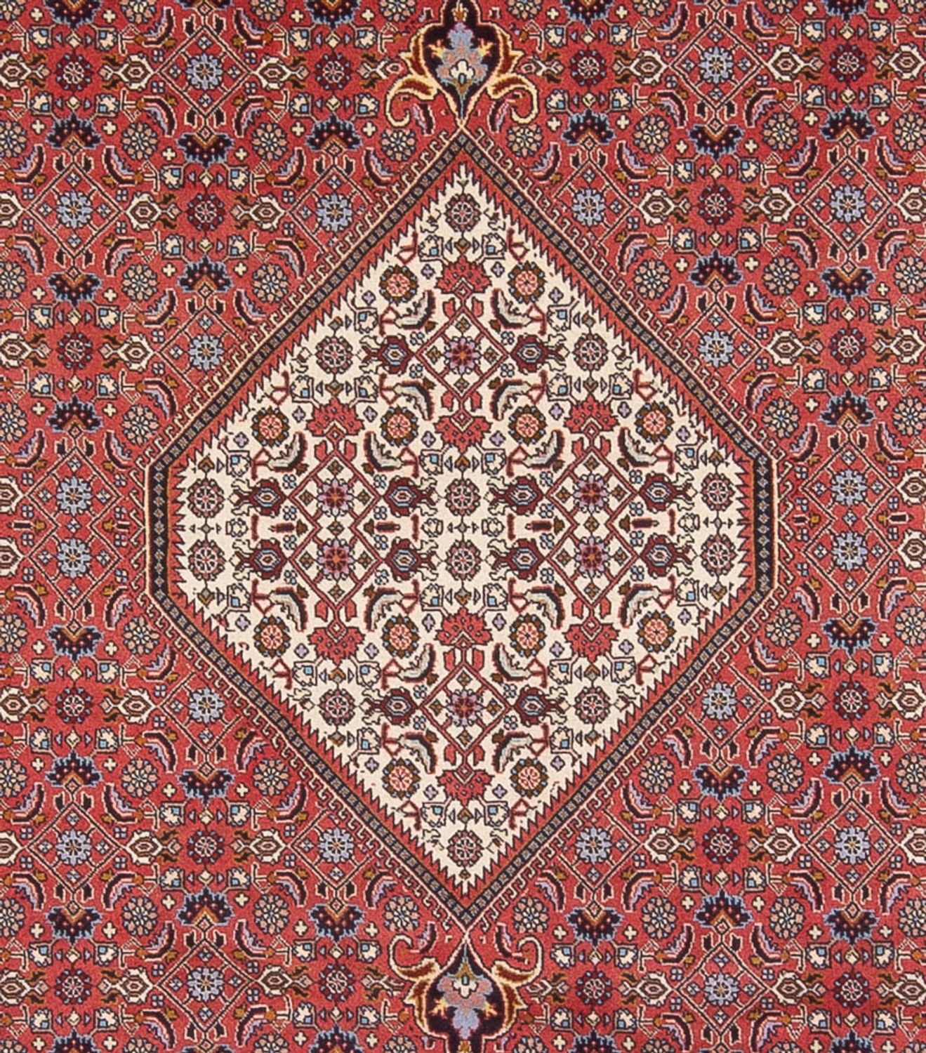 Alfombra persa - Bidjar - 337 x 250 cm - rojo oscuro