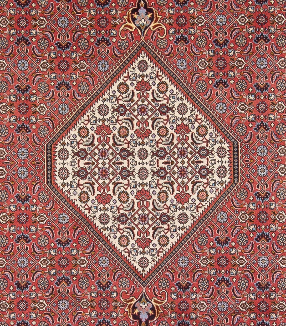 Alfombra persa - Bidjar - 337 x 250 cm - rojo oscuro