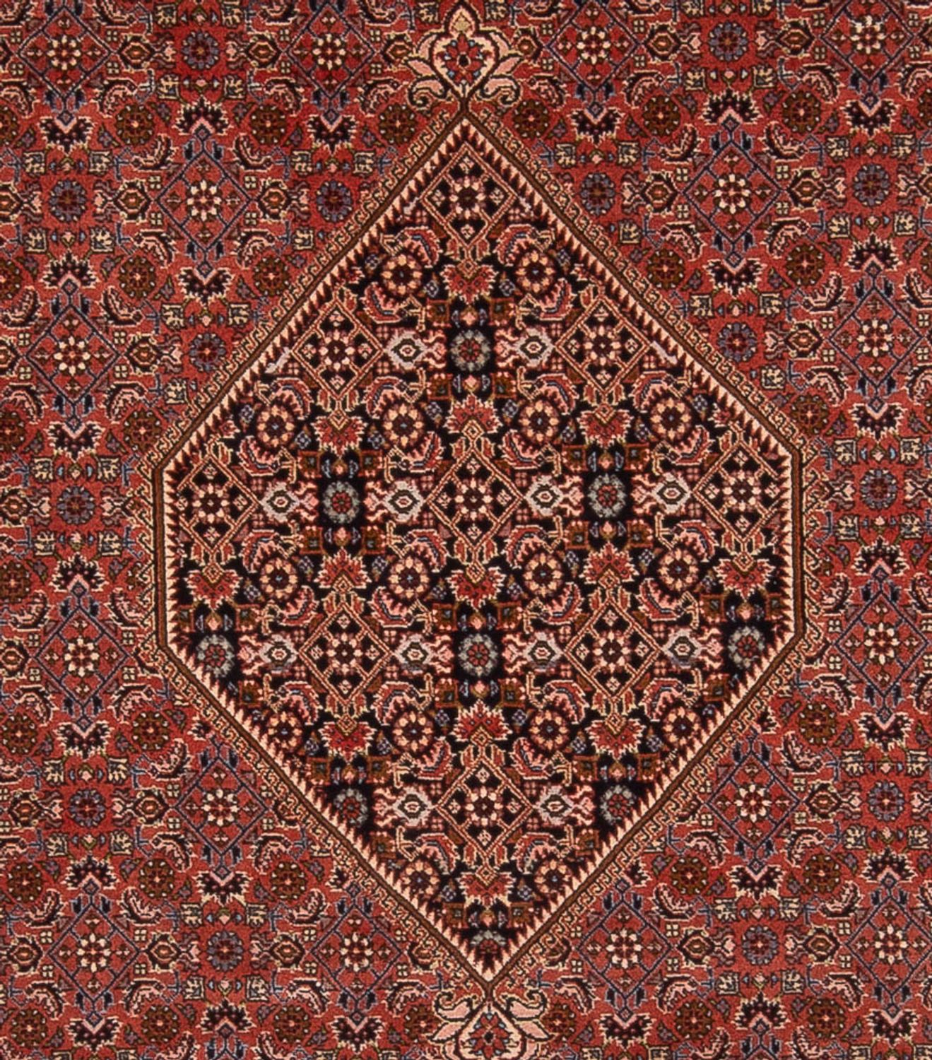 Alfombra persa - Bidjar - 344 x 250 cm - óxido