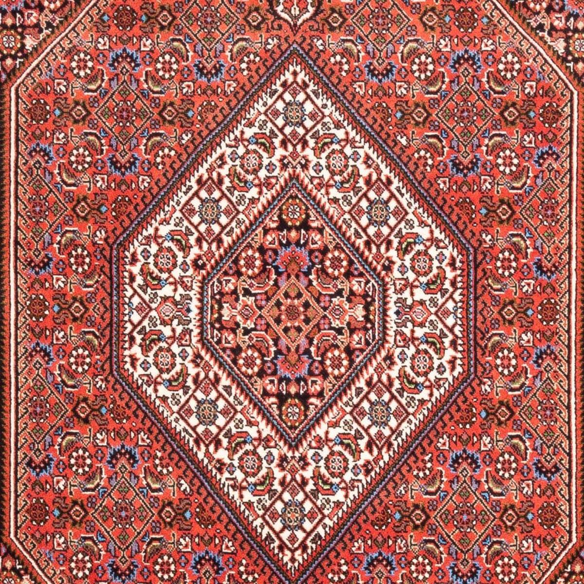 Alfombra persa - Bidjar - 186 x 112 cm - rojo