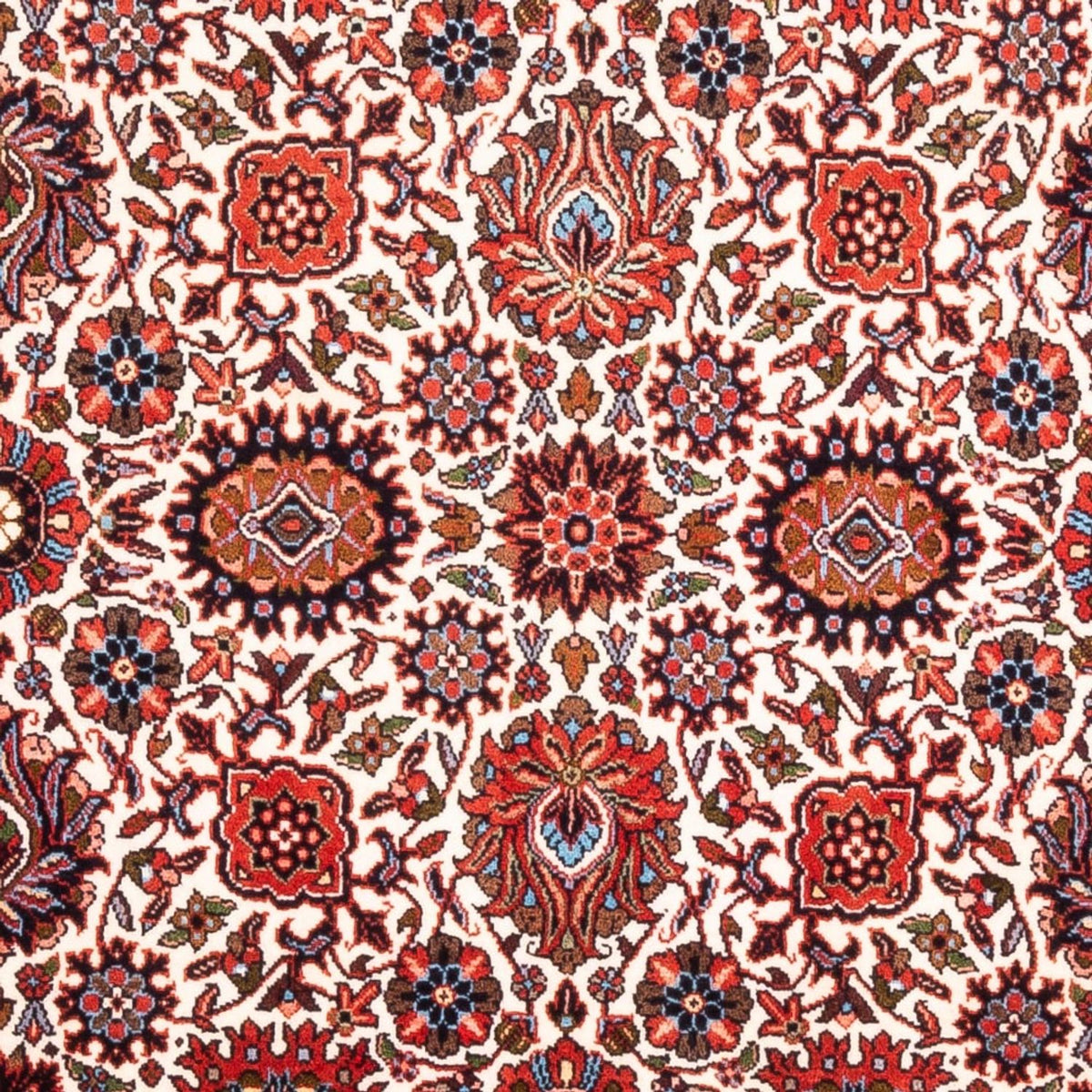 Alfombra persa - Bidjar - 172 x 108 cm - crema