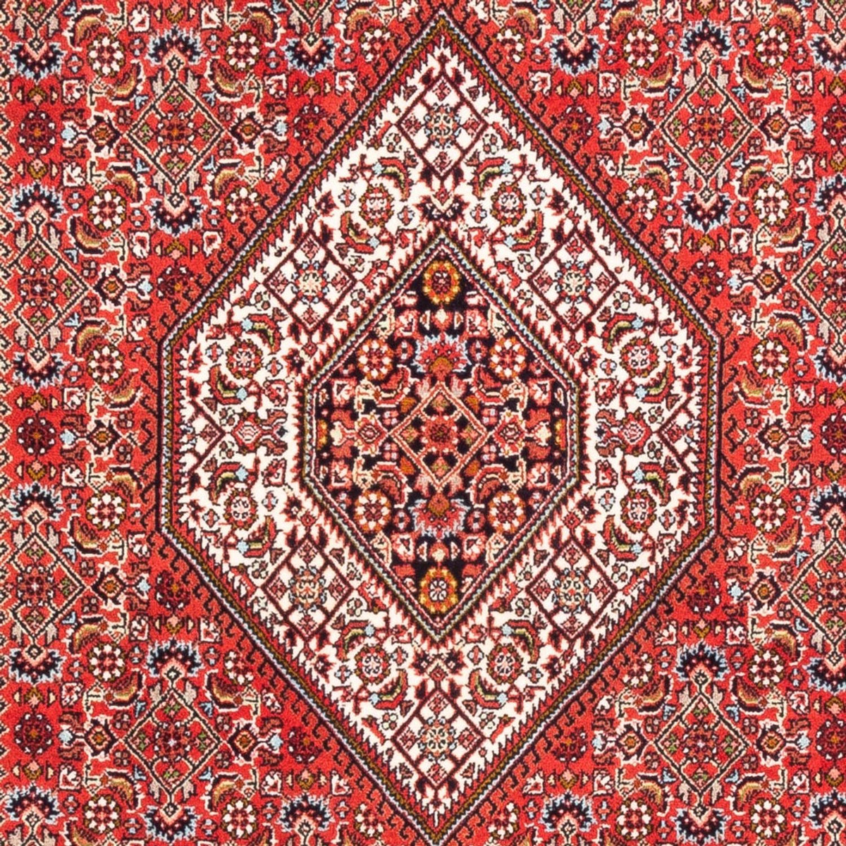 Alfombra persa - Bidjar - 180 x 110 cm - rojo