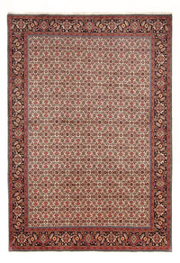 Alfombra persa - Bidjar - 290 x 200 cm - crema