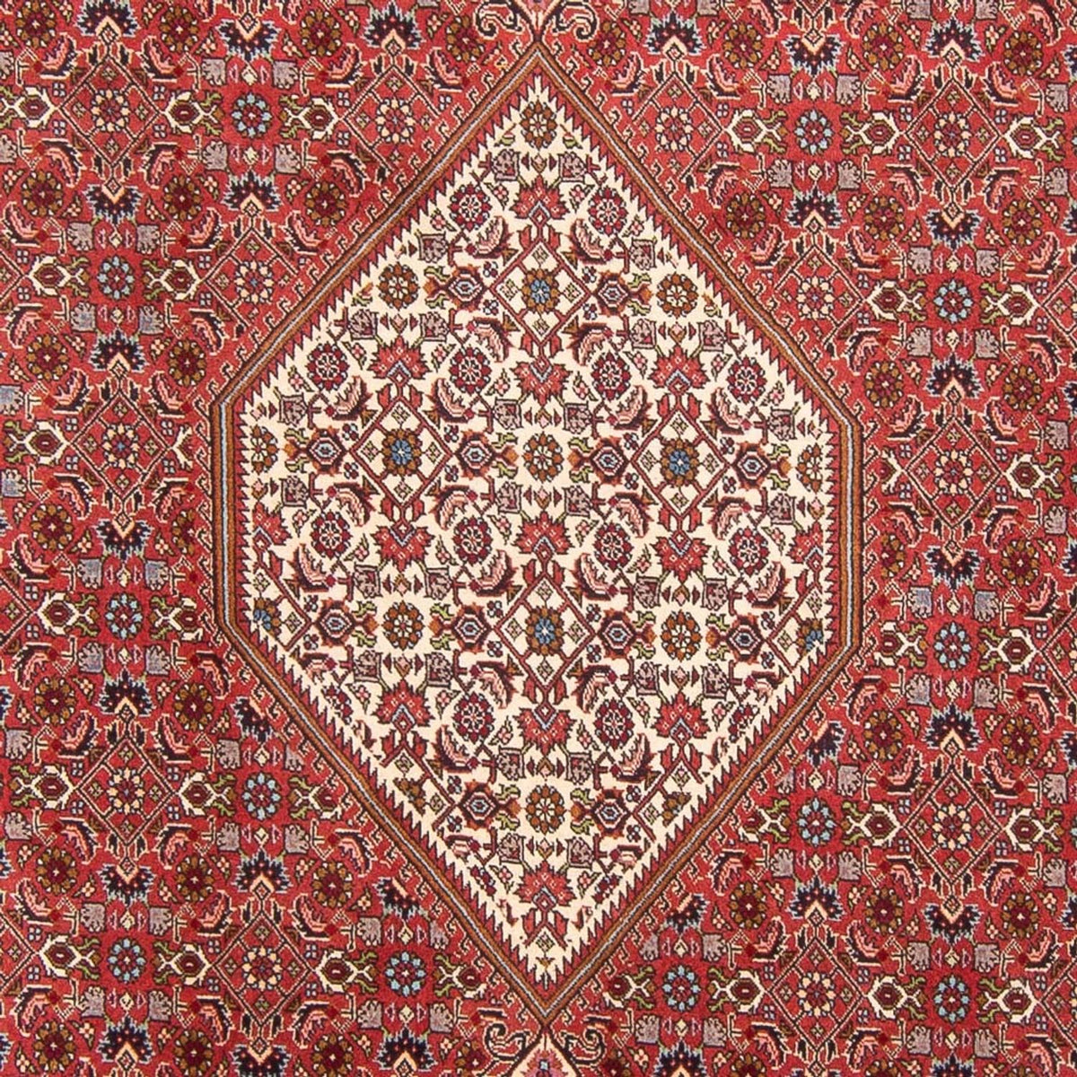 Alfombra persa - Bidjar - 310 x 203 cm - rojo
