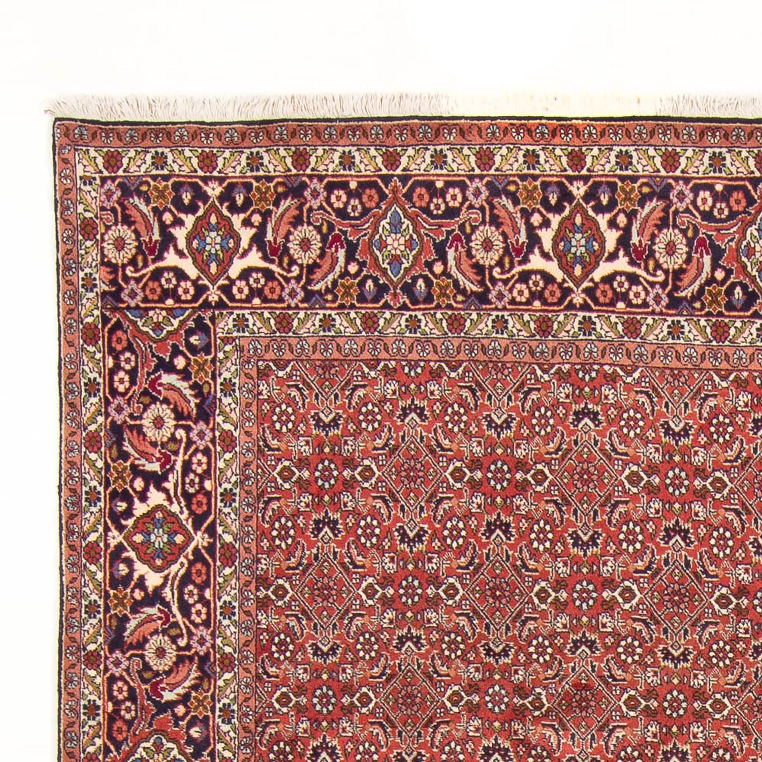 Alfombra persa - Bidjar - 305 x 200 cm - rojo