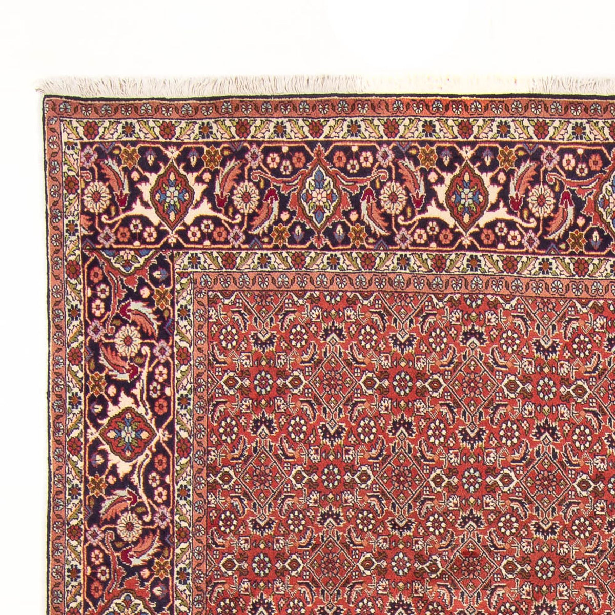 Bidjar - Bukan Alfombra 200x305cm - Alfombra persa