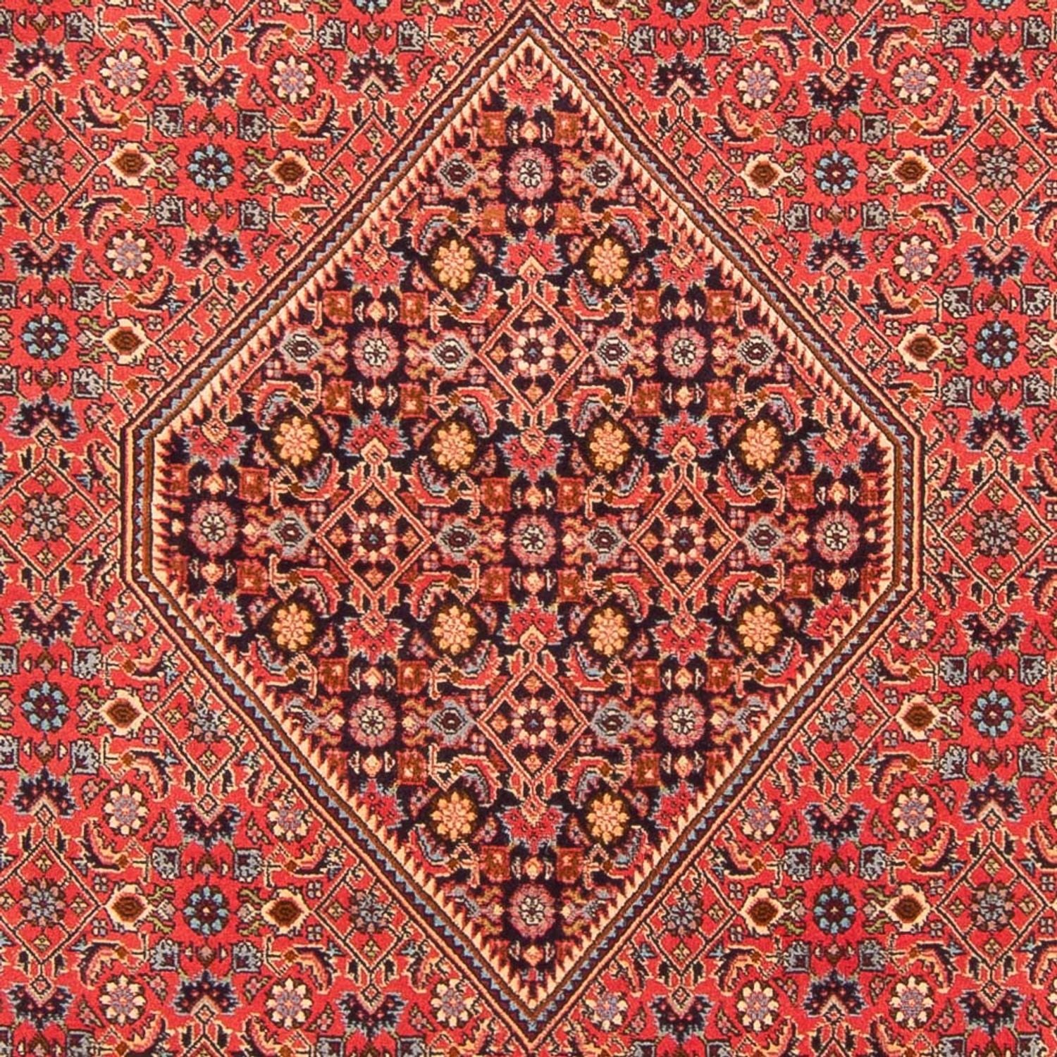 Alfombra persa - Bidjar - 260 x 200 cm - rojo