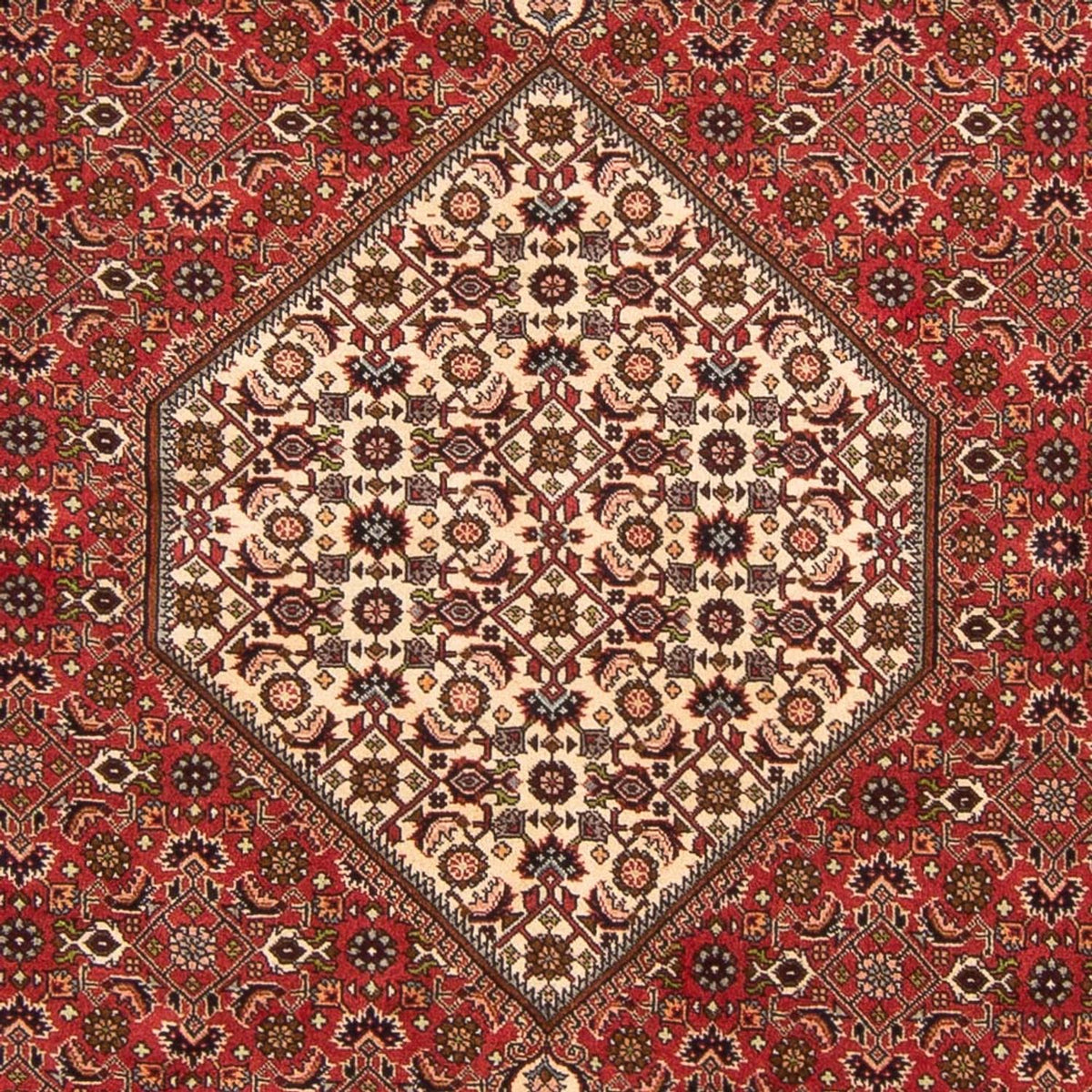 Alfombra persa - Bidjar - 260 x 200 cm - rojo