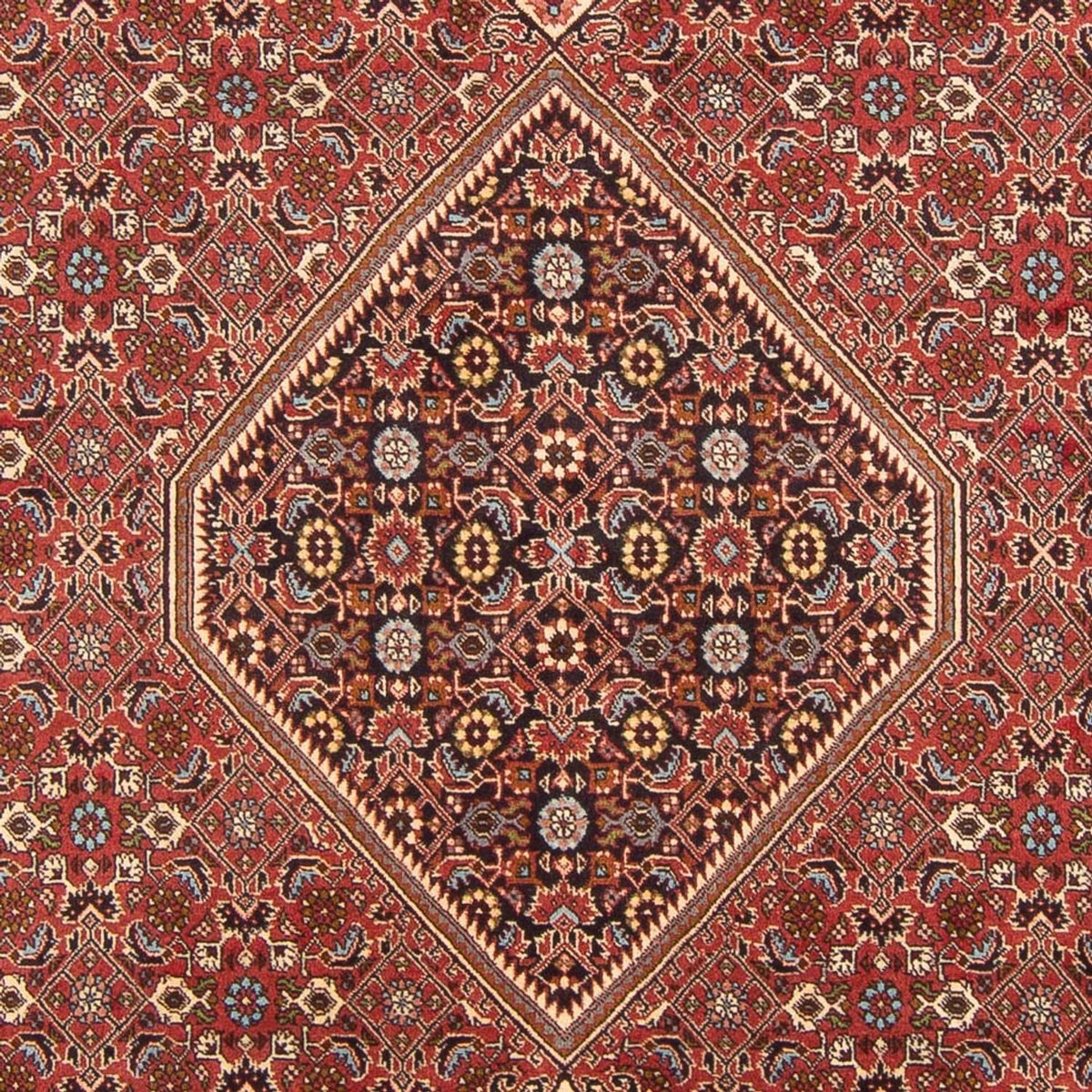 Alfombra persa - Bidjar - 307 x 203 cm - rojo