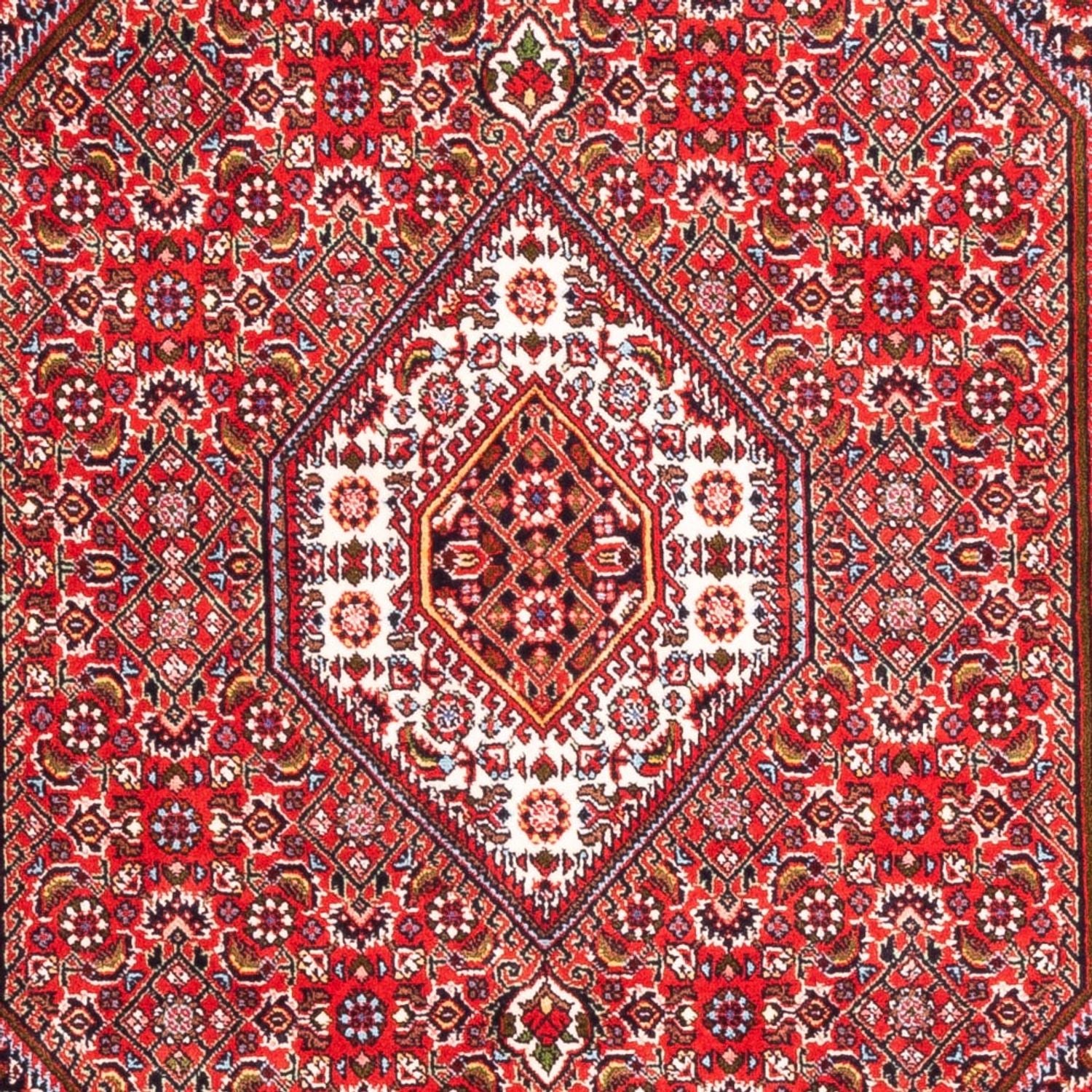 Alfombra persa - Bidjar - 170 x 110 cm - rojo