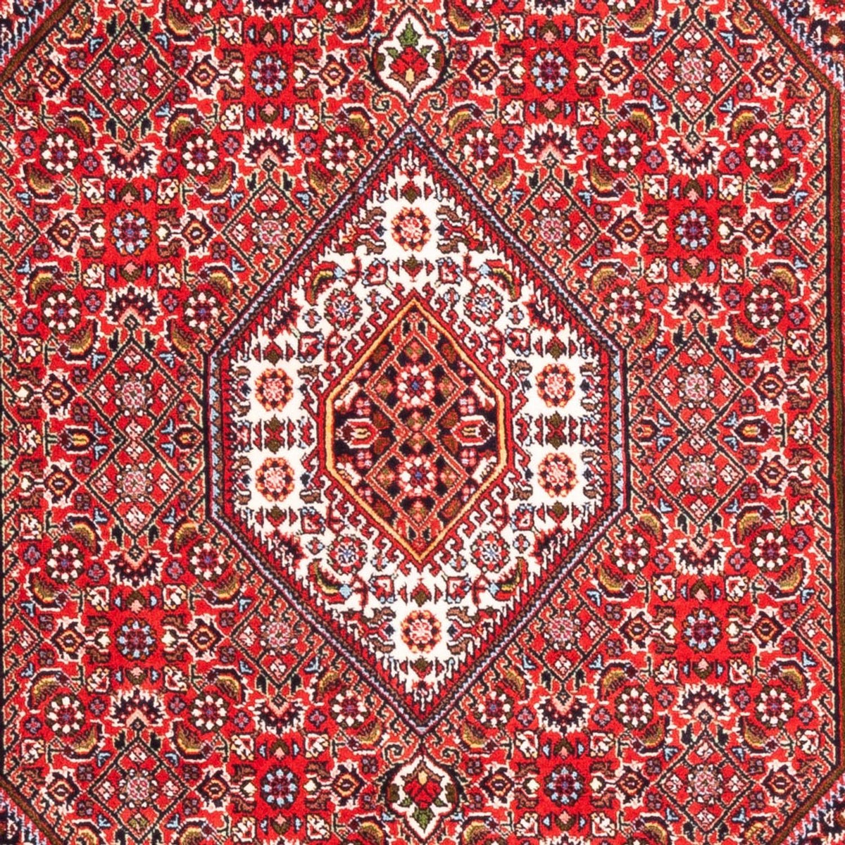Alfombra persa - Bidjar - 170 x 110 cm - rojo