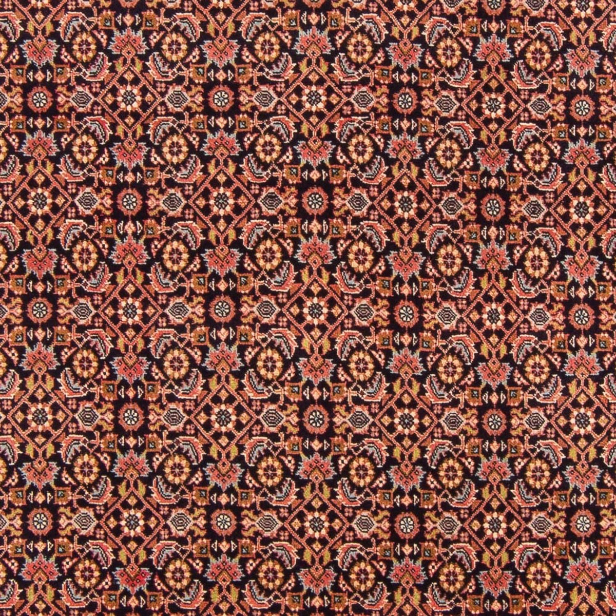 Alfombra persa - Bidjar - 302 x 200 cm - rojo