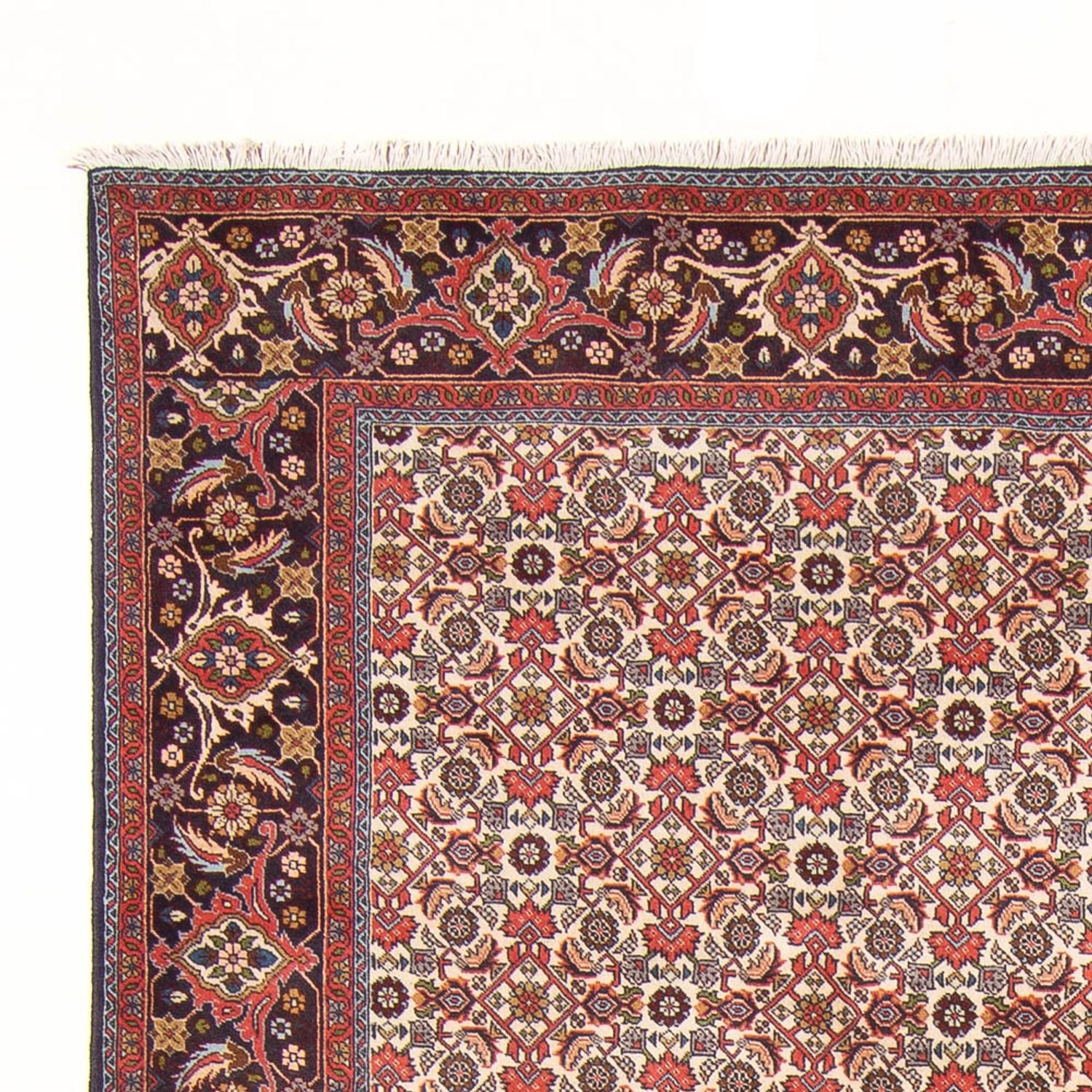Alfombra persa - Bidjar - 294 x 200 cm - crema