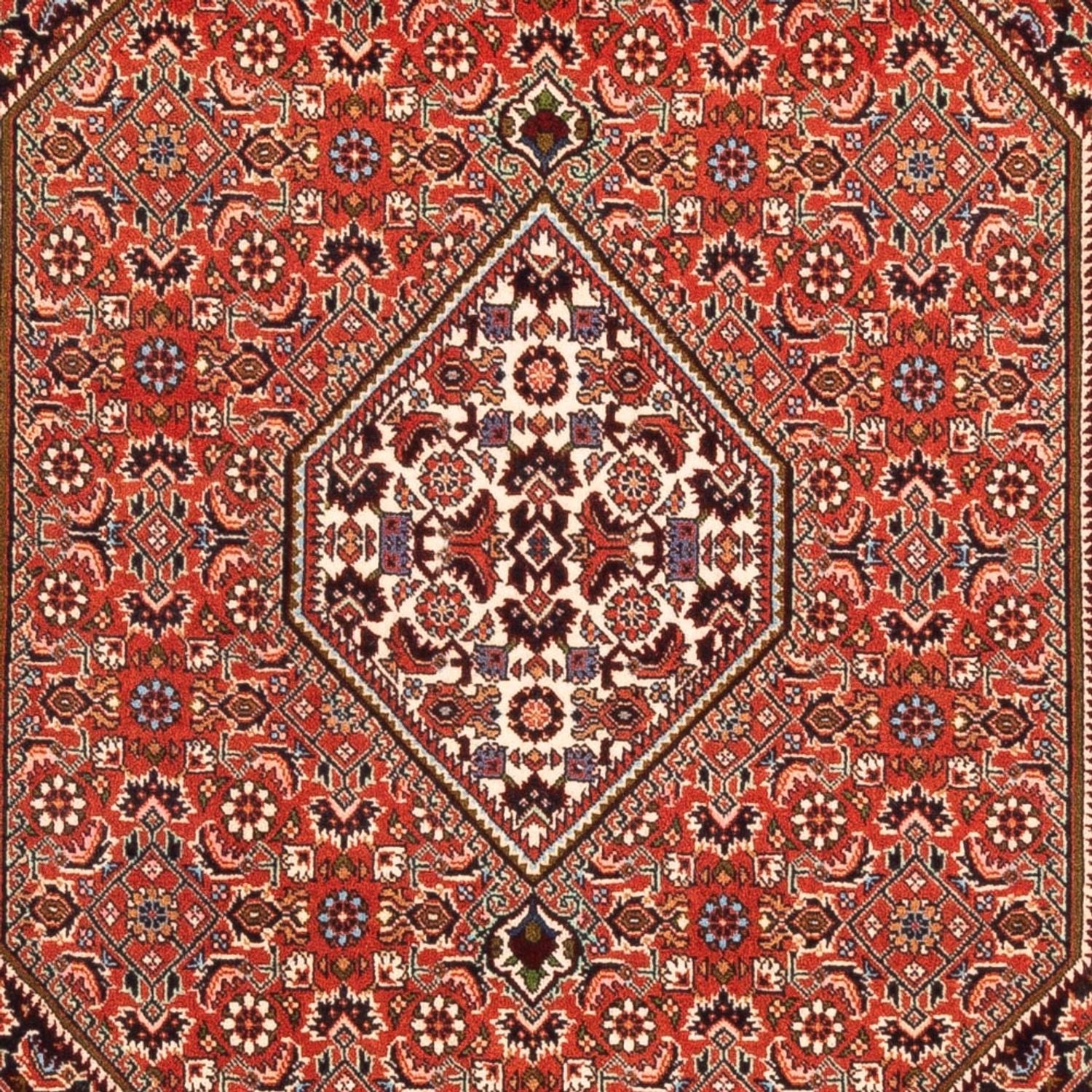 Alfombra persa - Bidjar - 169 x 113 cm - rojo