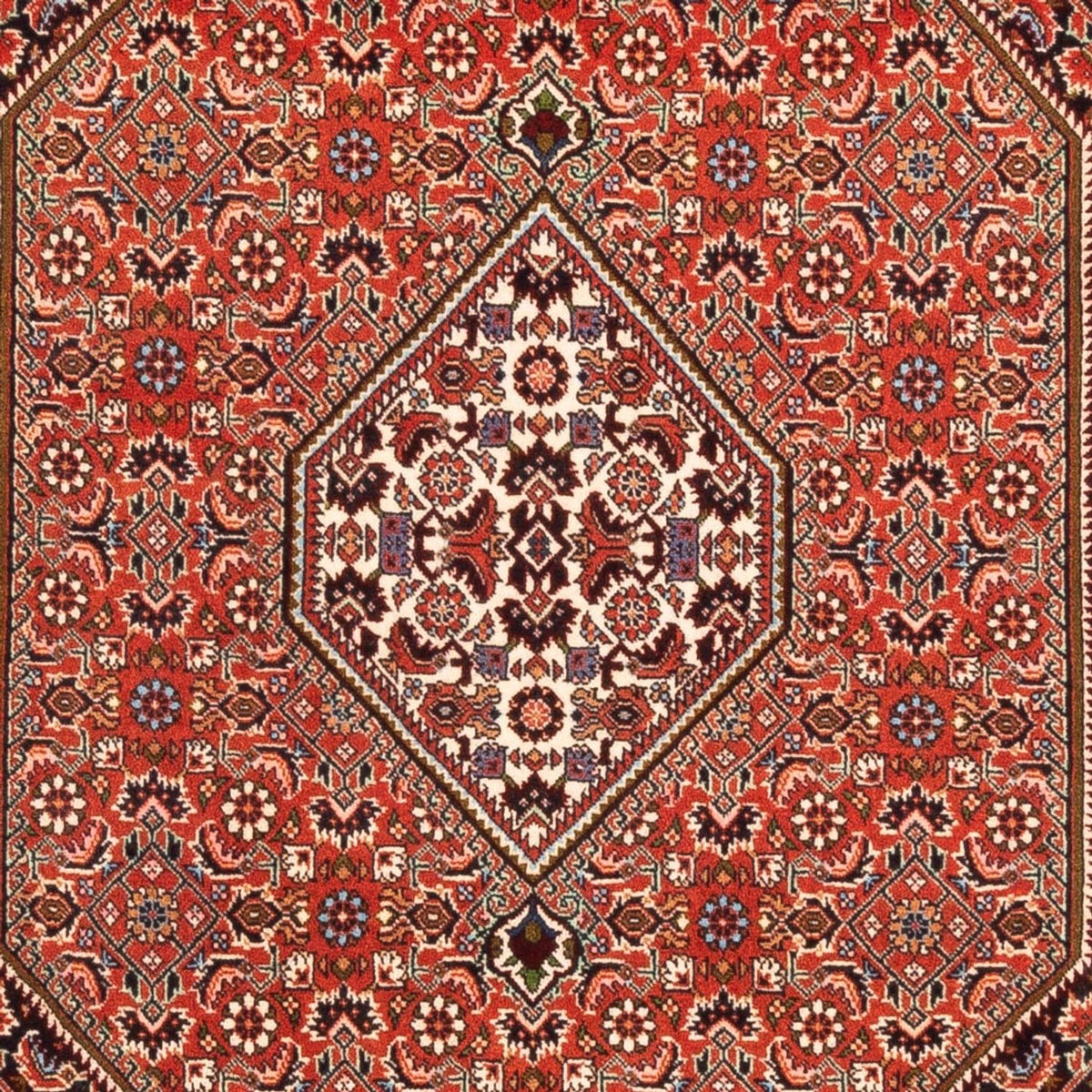 Alfombra persa - Bidjar - 169 x 113 cm - rojo