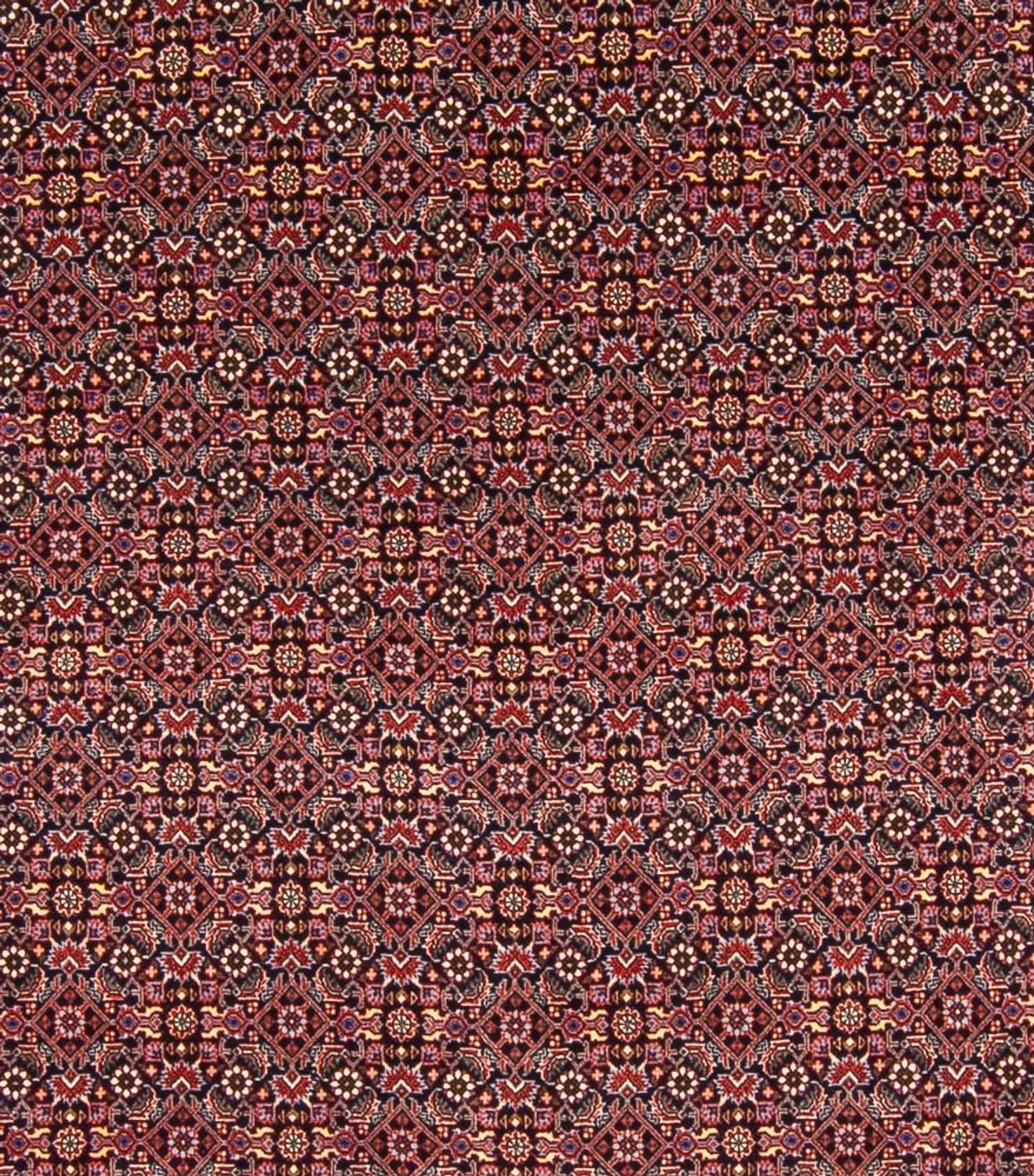 Alfombra persa - Bidjar - 337 x 260 cm - azul oscuro