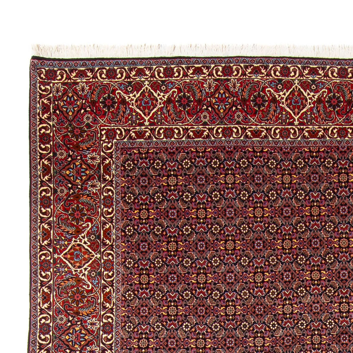 Bidjar - Bukan Alfombra 260x337cm - Alfombra persa
